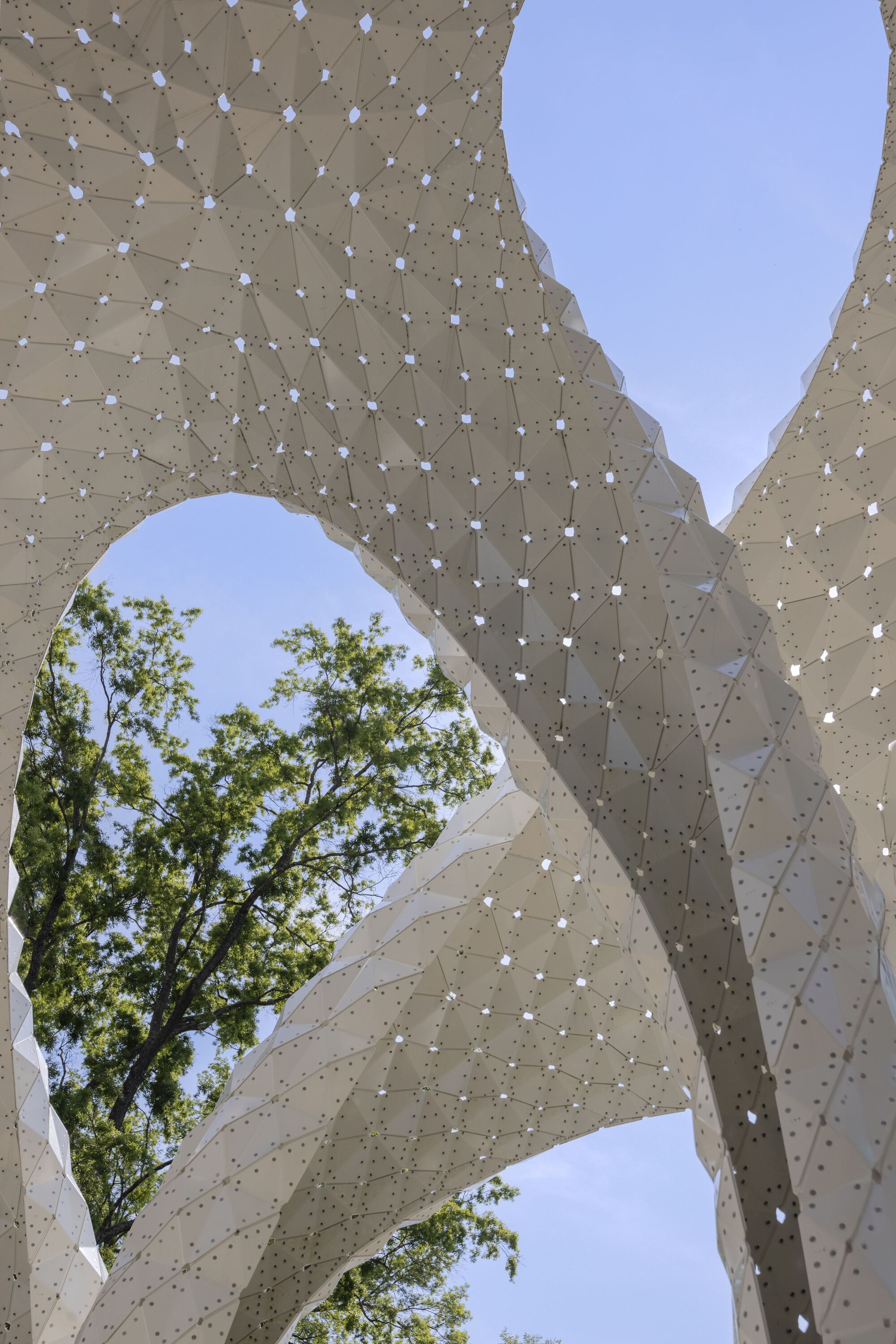 Close-up of the perforated shell structure showing the tiled surface pattern with trees visible beyond