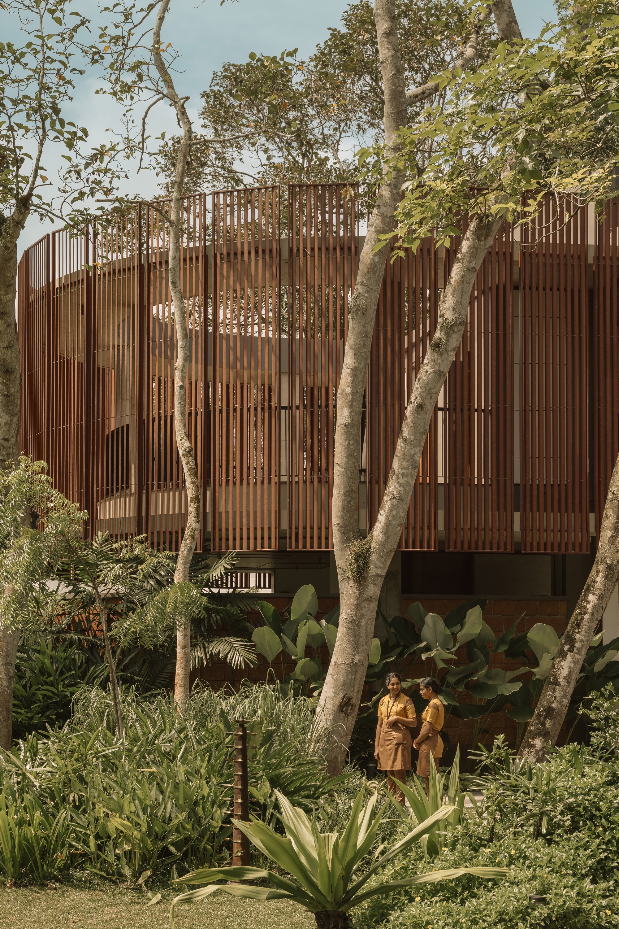 Curved timber screen facade on concrete base with two figures in garden foreground beneath white-barked trees