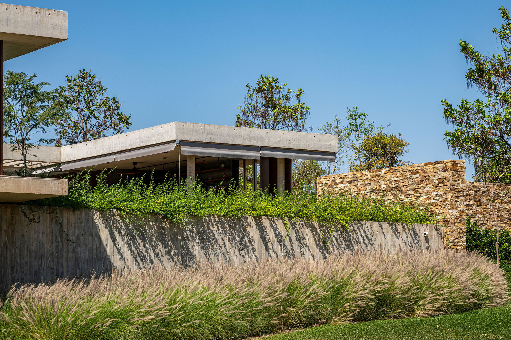 Concrete pavilion above board-formed retaining wall planted with ornamental grasses beneath scattered trees
