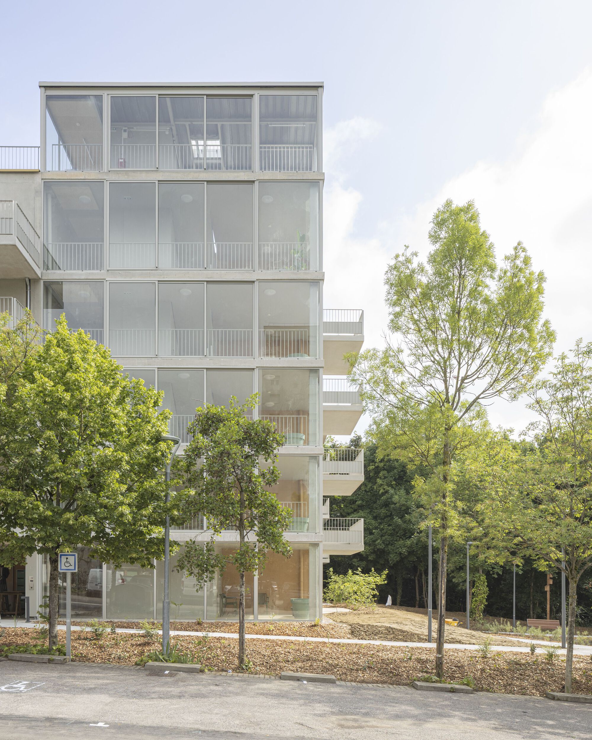 Six-storey facade with glazed balconies and white frames framed by young trees in a courtyard setting