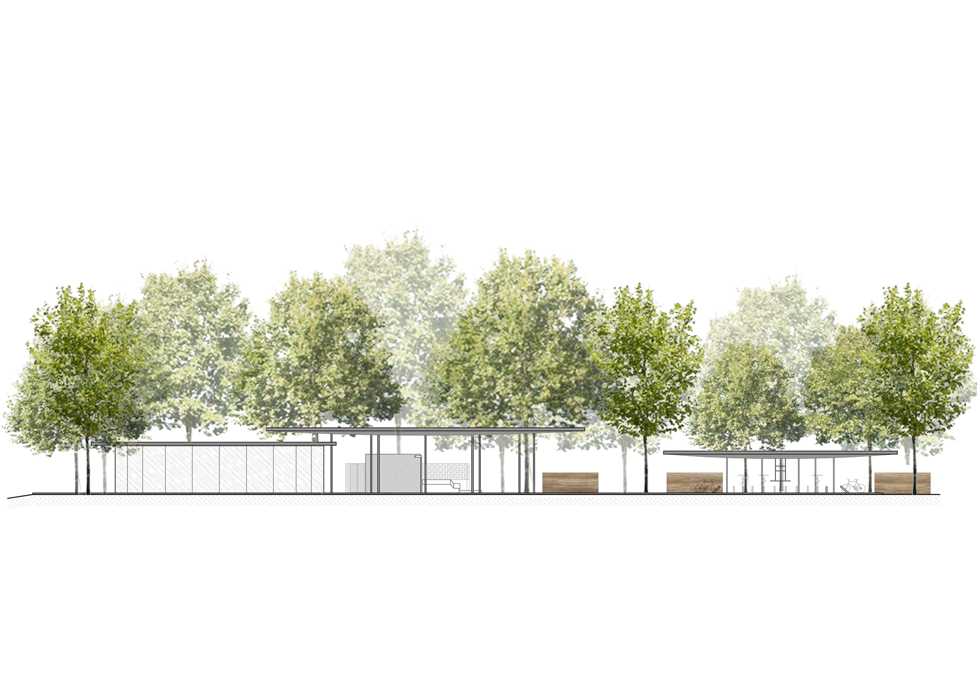 Elevation drawing of a glass pavilion sheltered beneath a line of trees