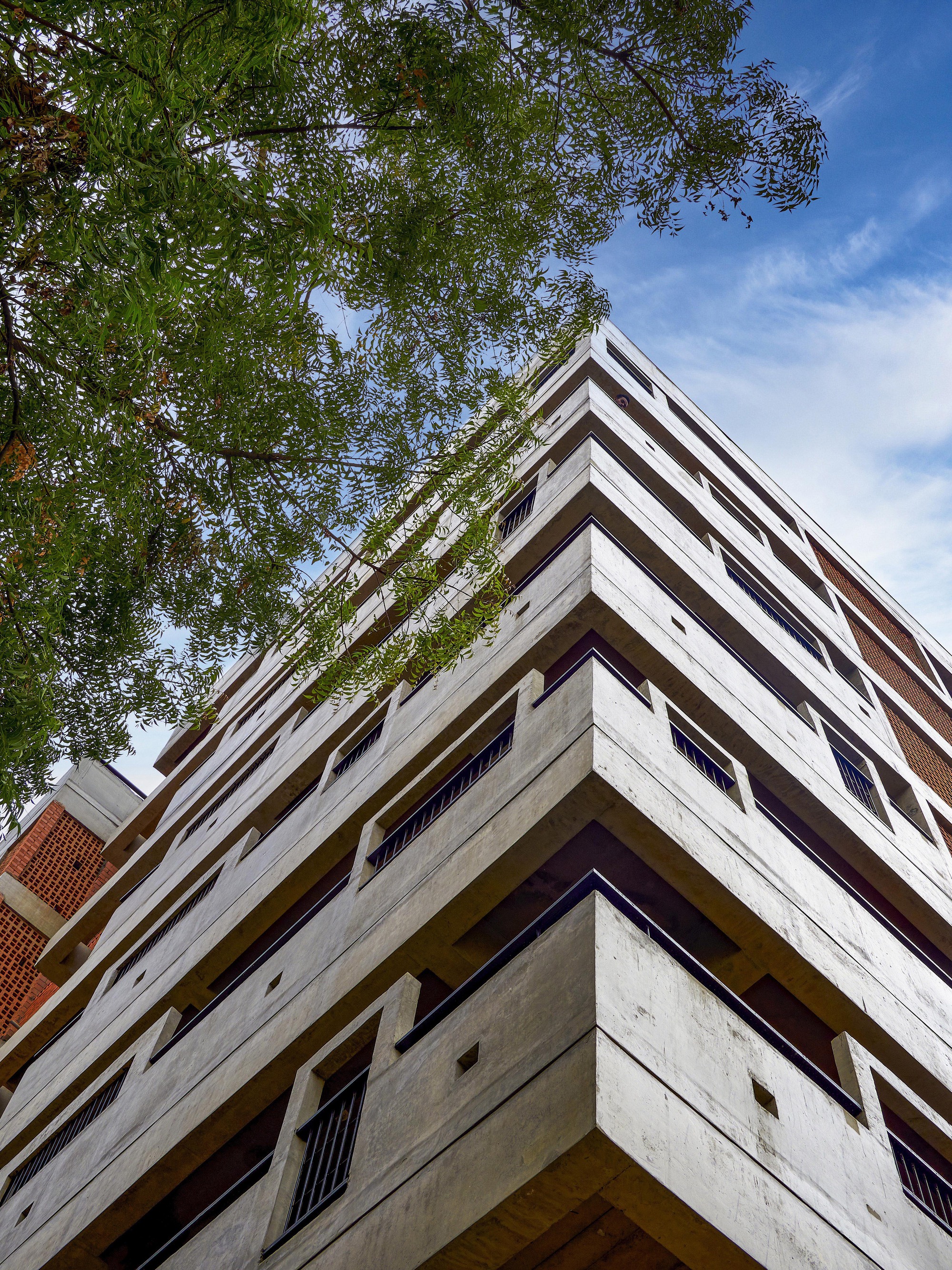 Upward view of the stacked concrete balconies with recessed openings framed by overhanging tree branches