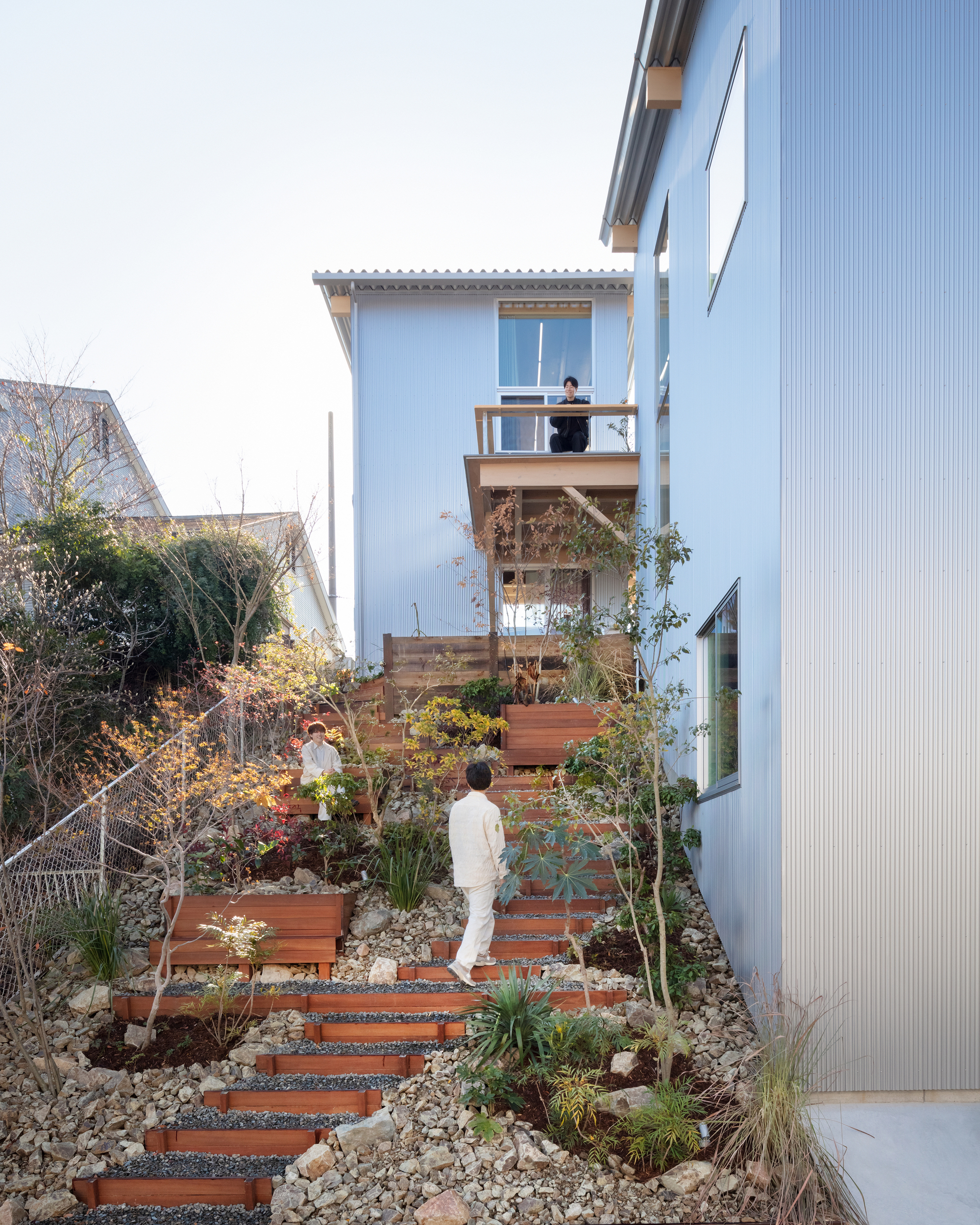 Timber staircase ascending a planted hillside with gravel beds and young trees between corrugated volumes