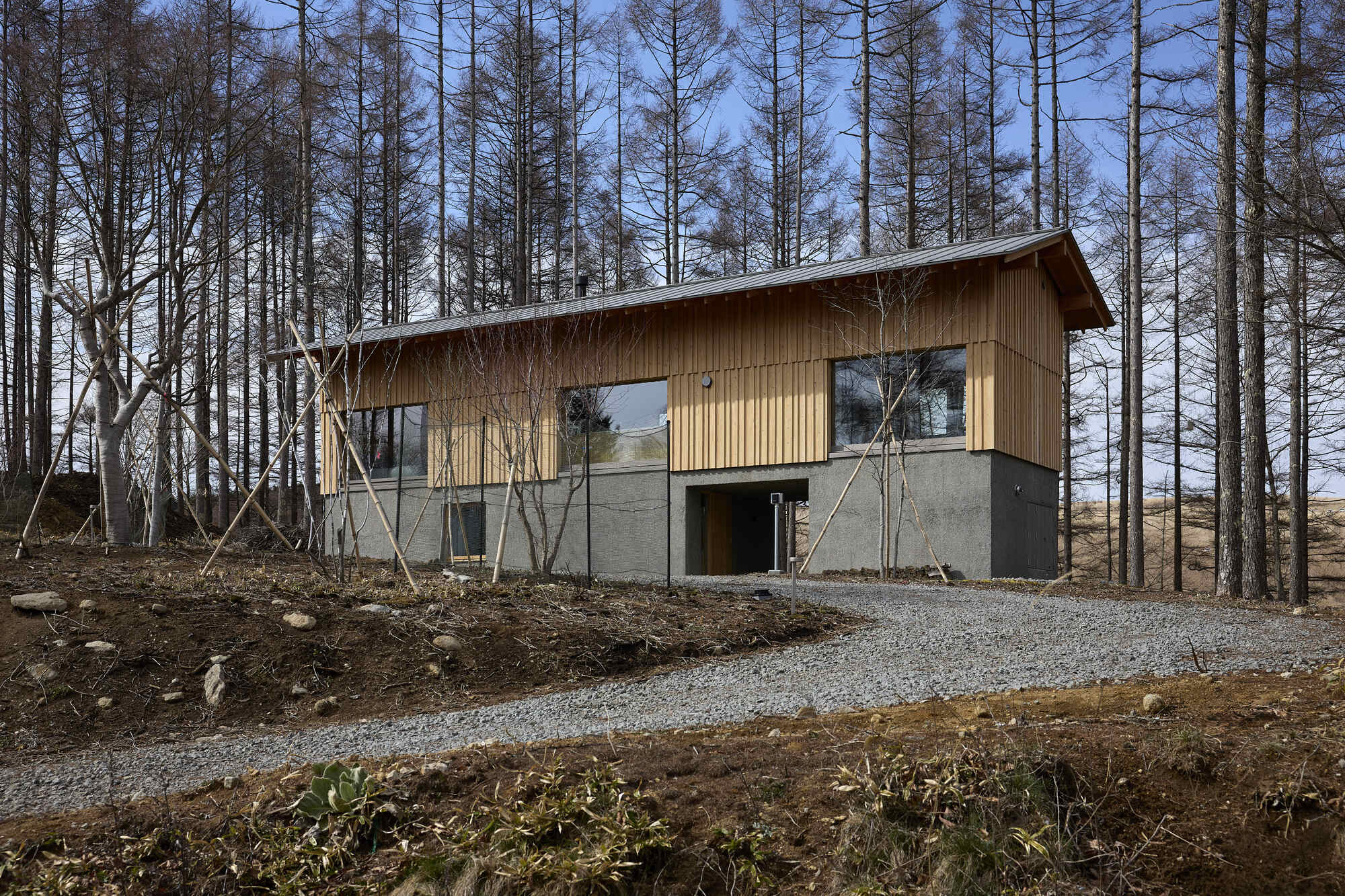 Two-story timber clad volume on concrete plinth set among bare trees with gravel access path