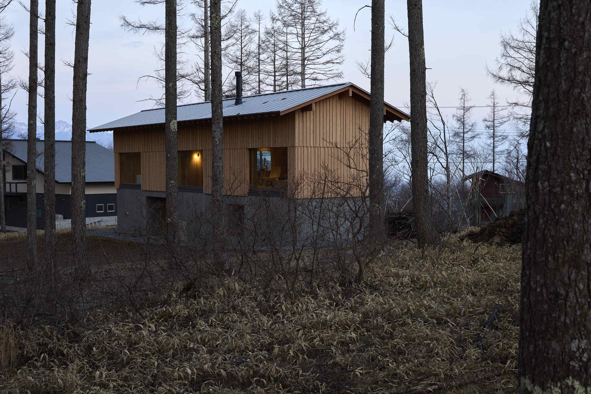 Timber and concrete structure viewed through bare tree trunks at dusk with interior lights on