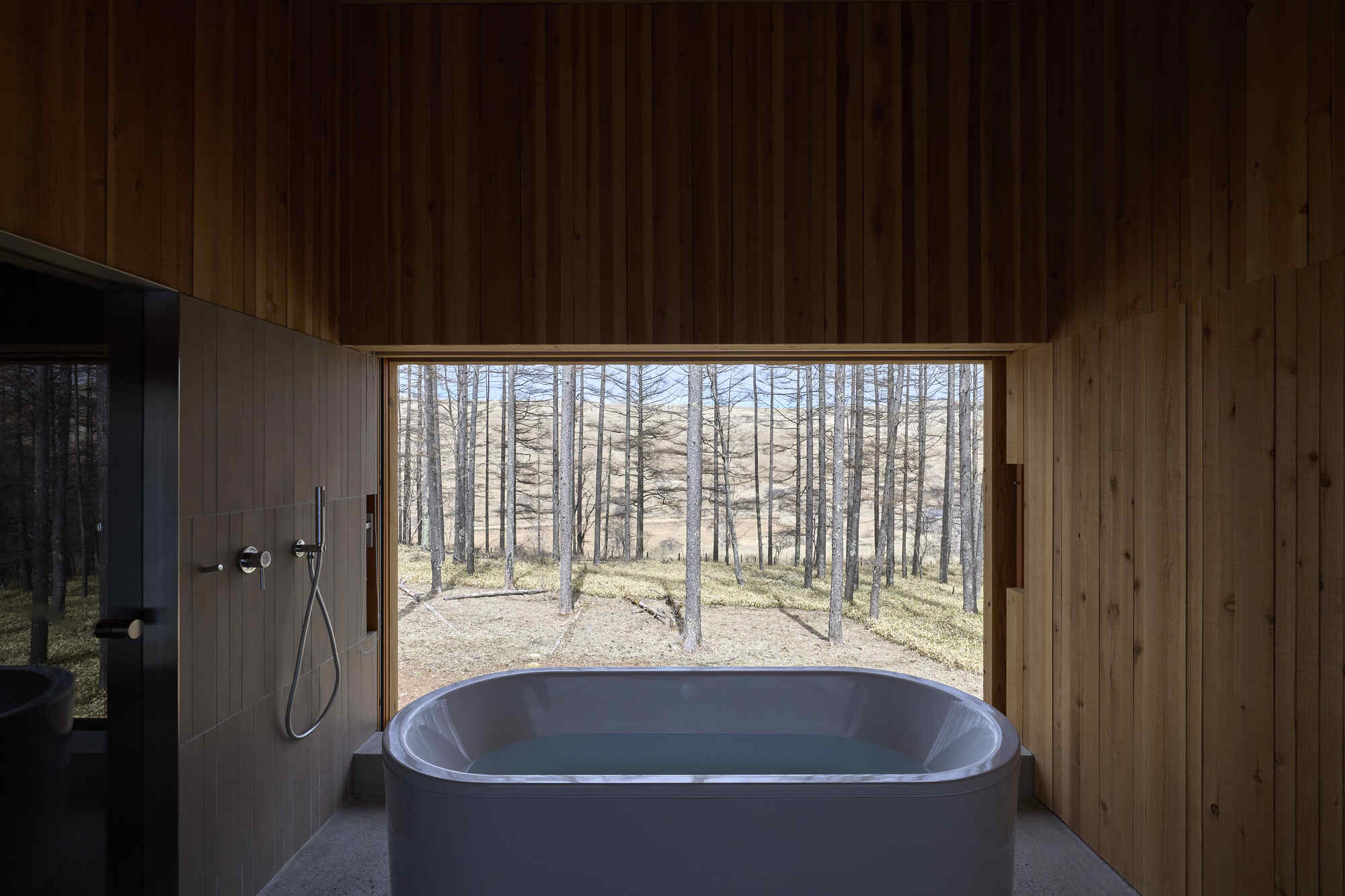 Freestanding bathtub beneath a horizontal window overlooking the sparse forest