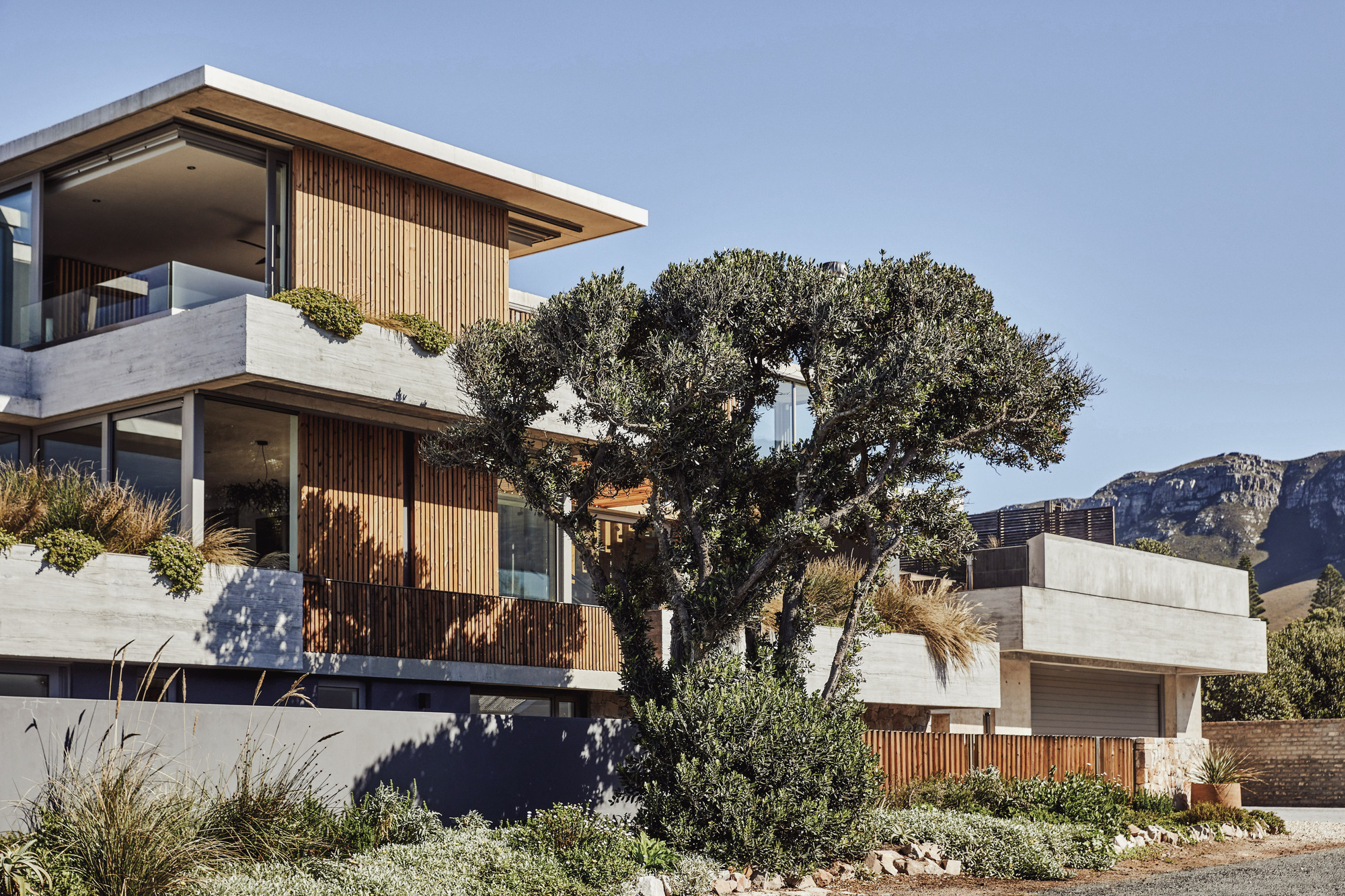 Street facade showing stacked concrete volumes with vertical timber screens framing a mature tree