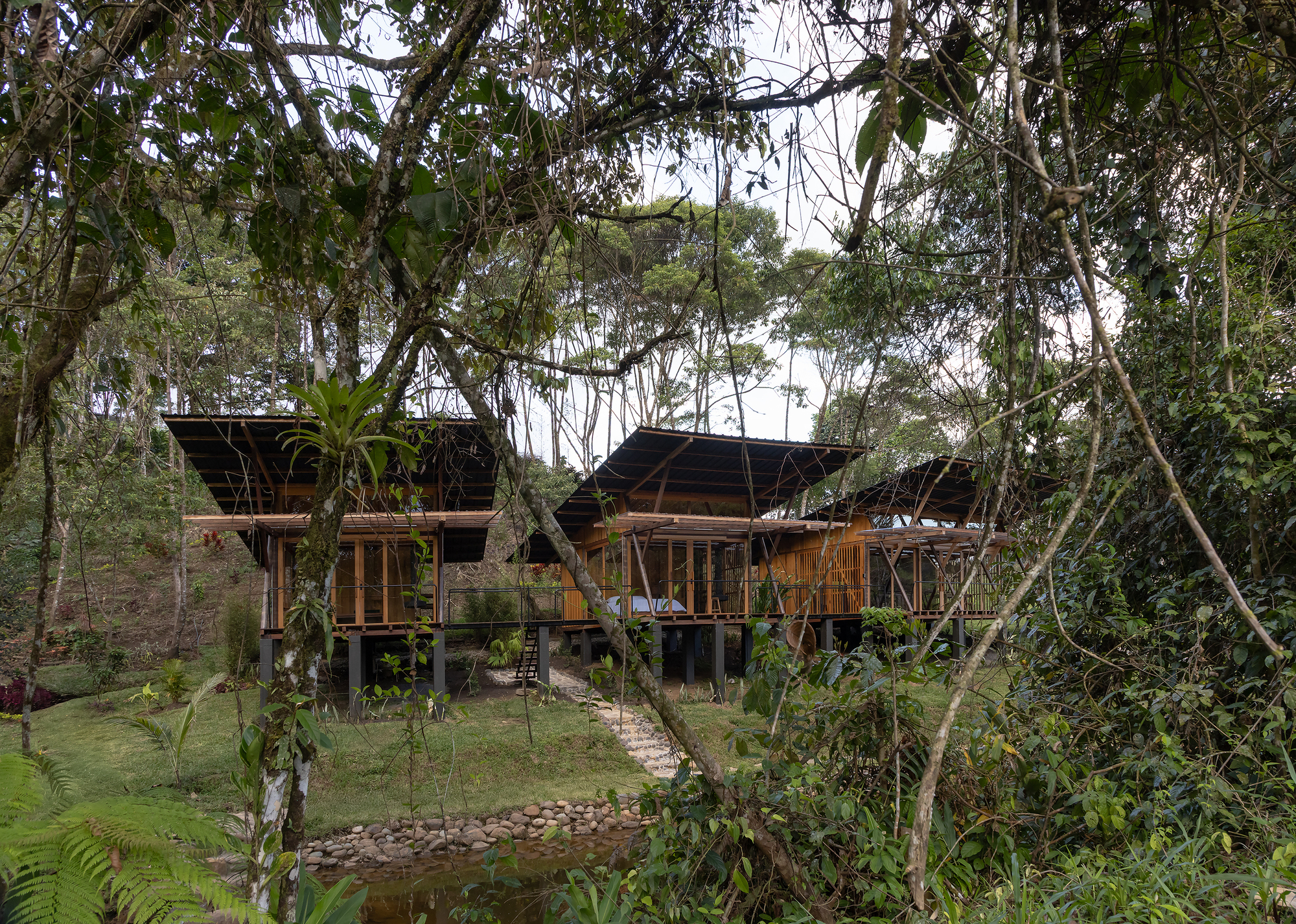 Front facade with vertical timber screens and cantilevered roof planes emerging from tropical vegetation