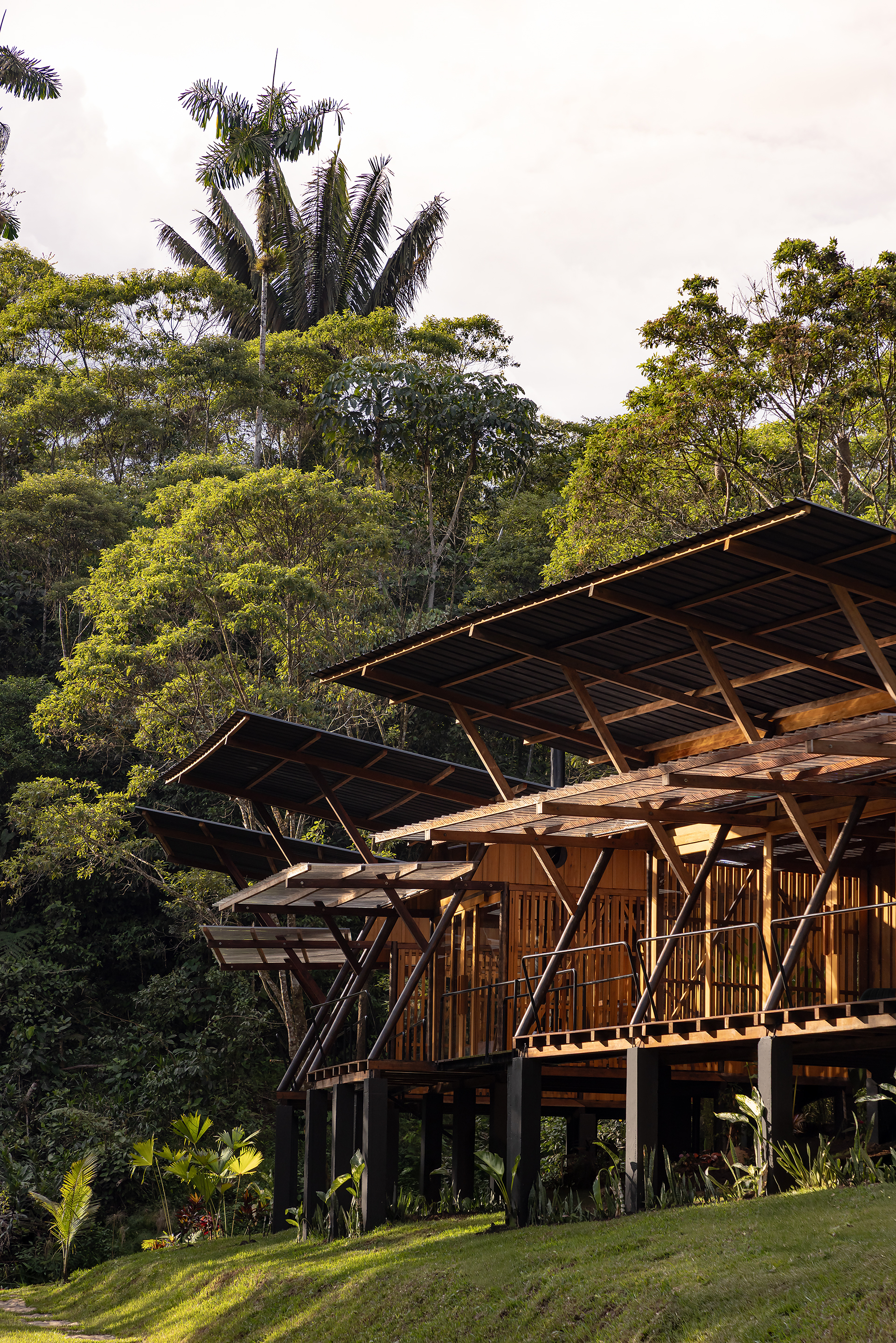 Angled roof planes supported by diagonal timber bracing above vertical bamboo facade in afternoon light