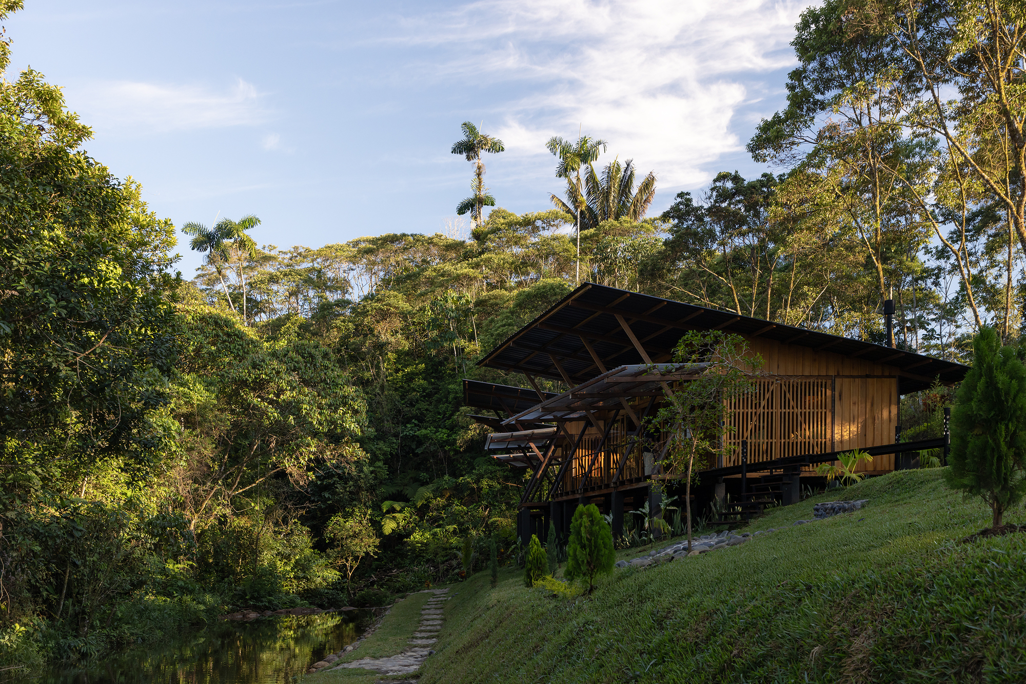 Stepped pathway leading to the elevated timber structure with overhanging roof and vertical slatted screens