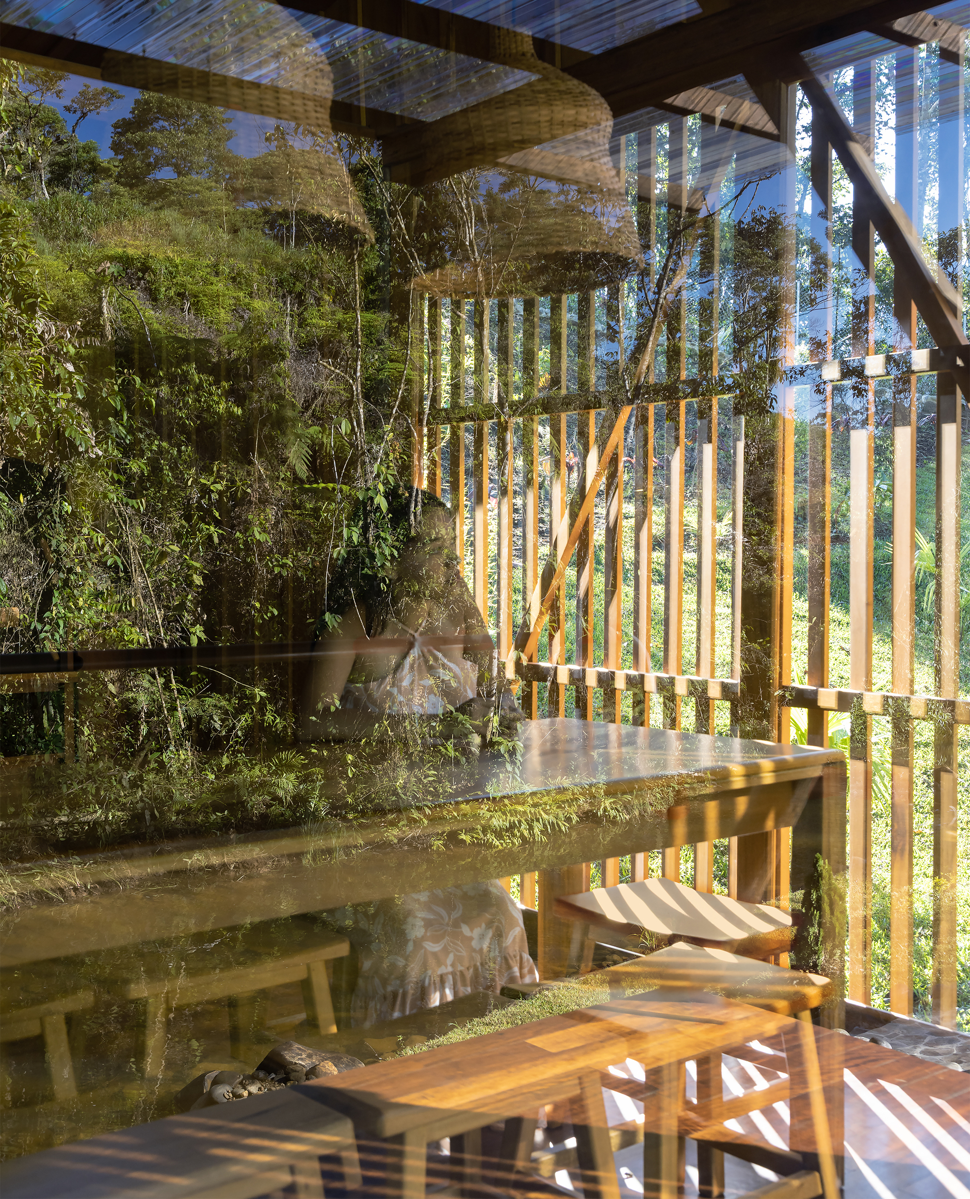 Interior view through glass walls showing timber furniture and vertical wooden screens framing the forest beyond