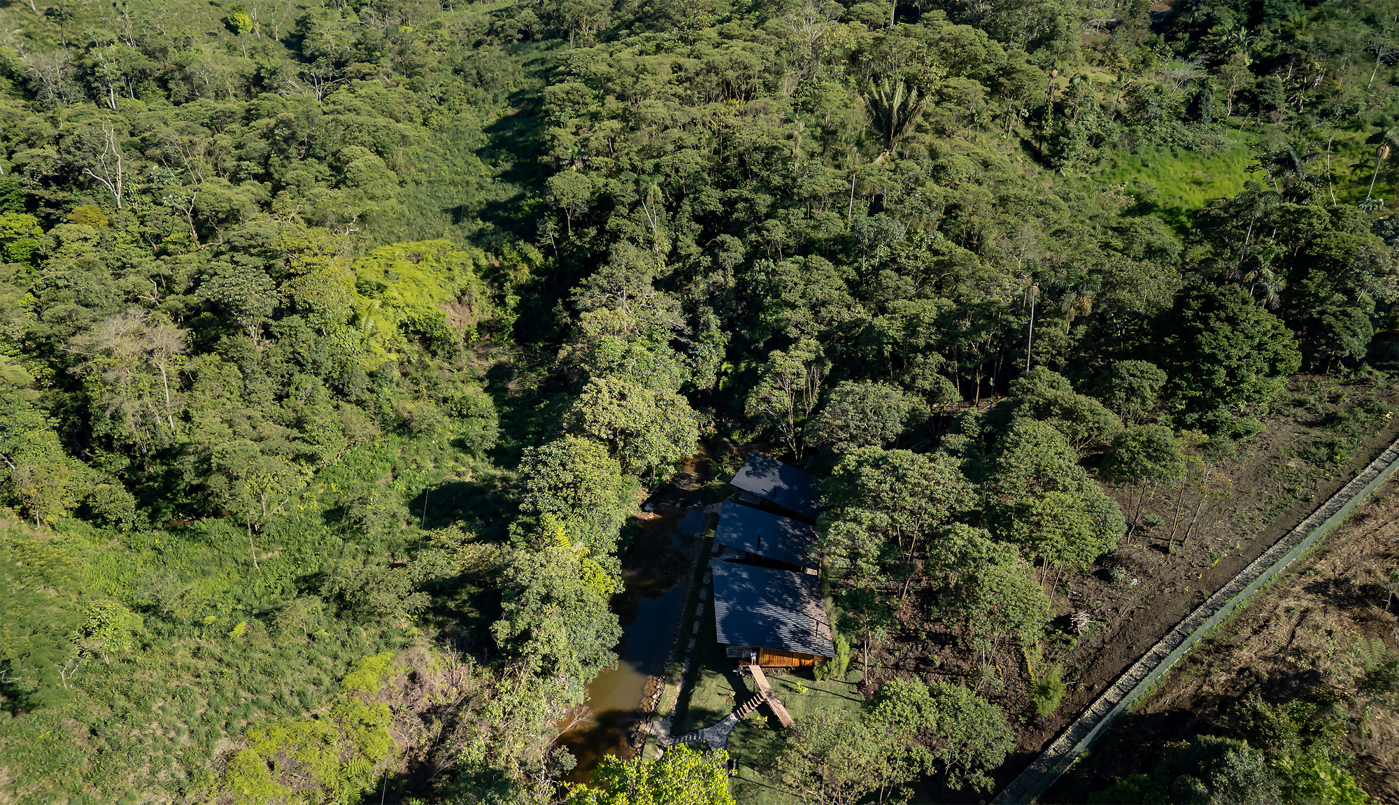 Aerial view of dark roof structure partially concealed by forest canopy beside a cleared hillside