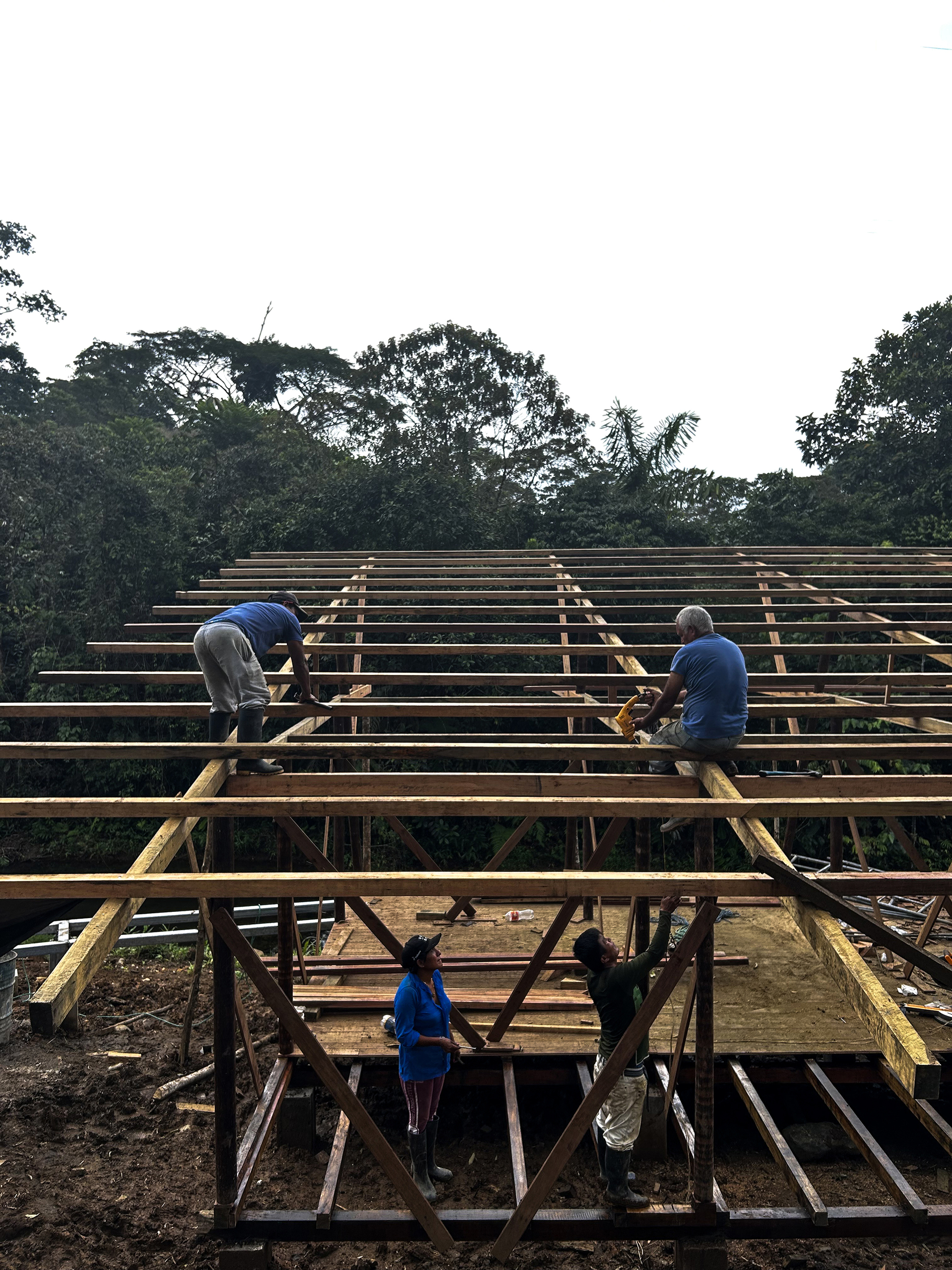 Workers constructing timber roof framing with joists and purlins against a dense forest canopy