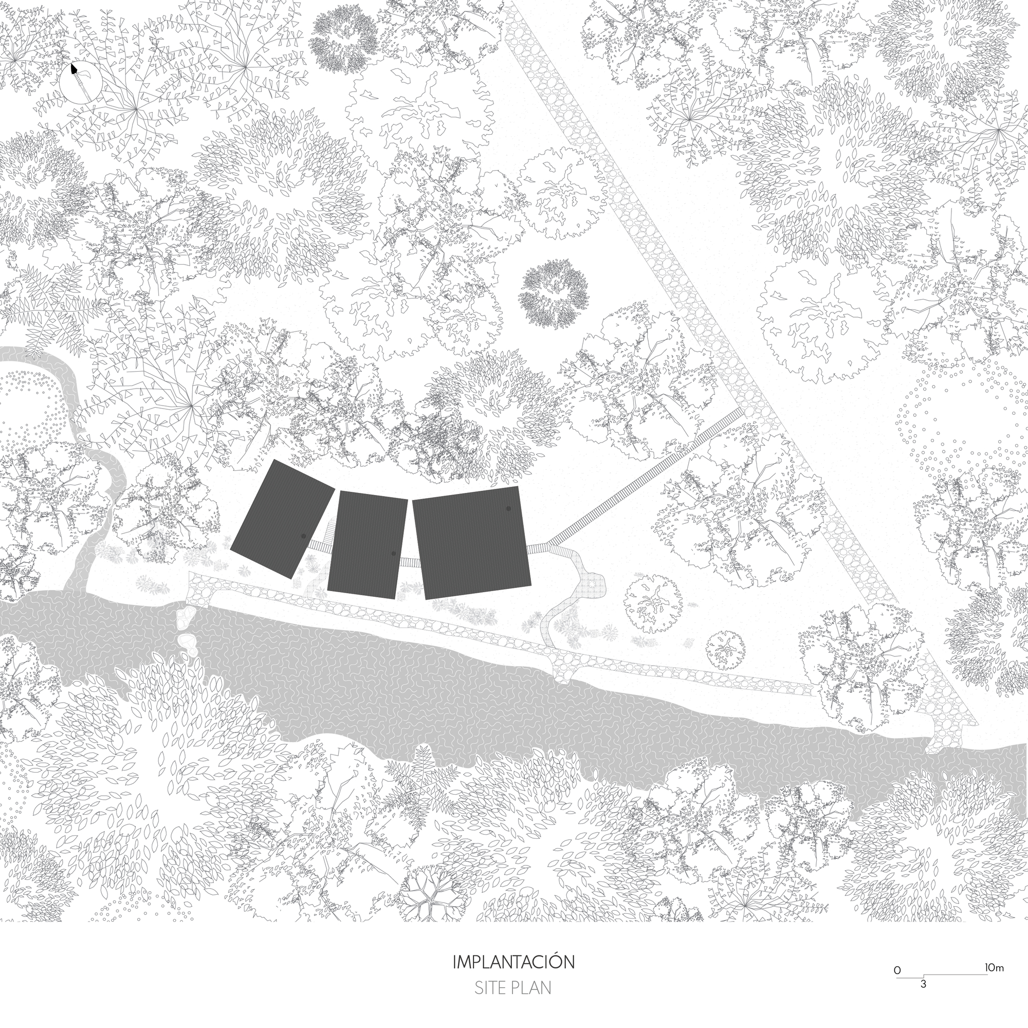 Site plan drawing showing three rectangular volumes positioned among trees near a curved shoreline