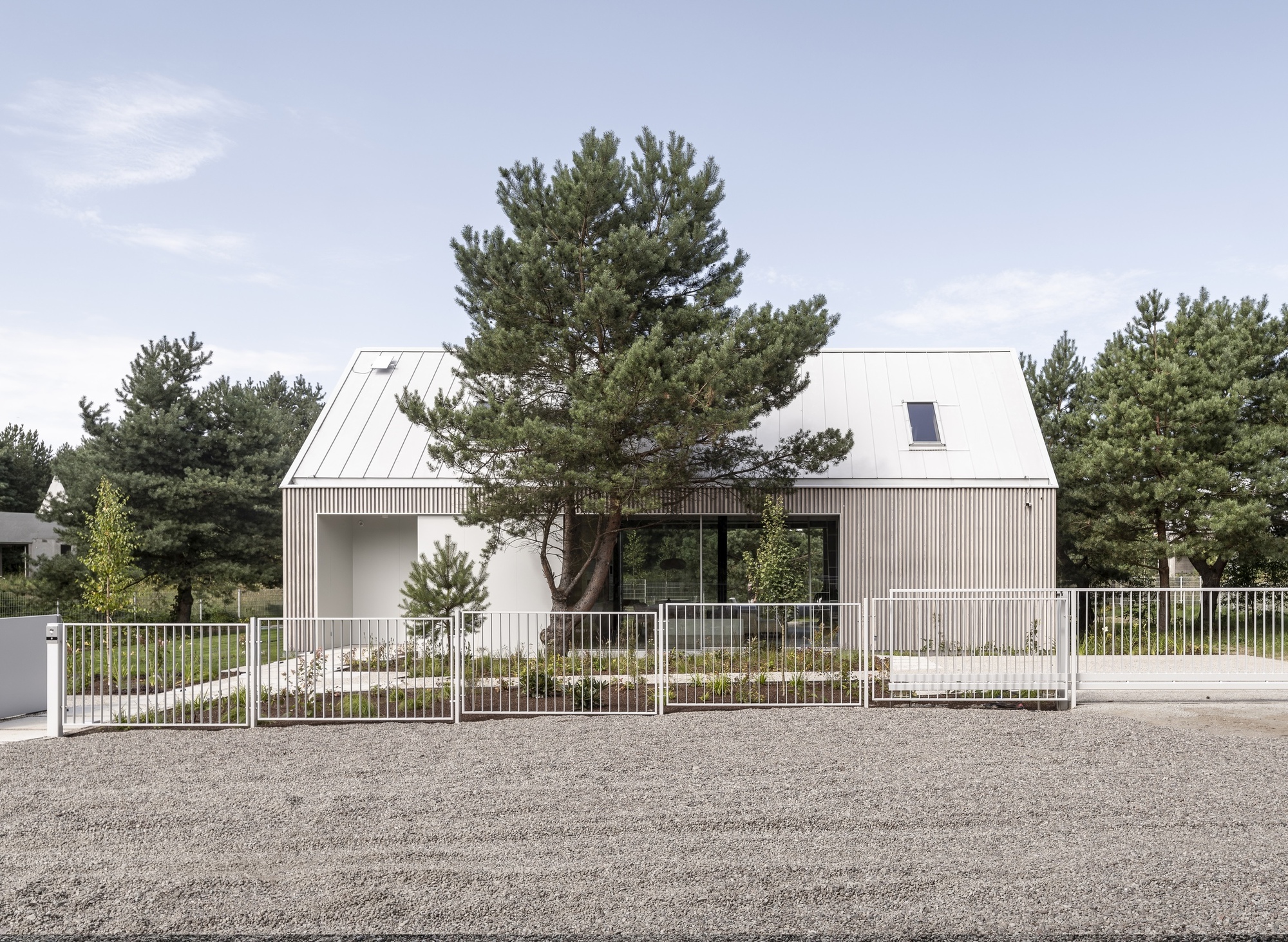 Street view of the corrugated metal facade with white picket fence and mature pine trees
