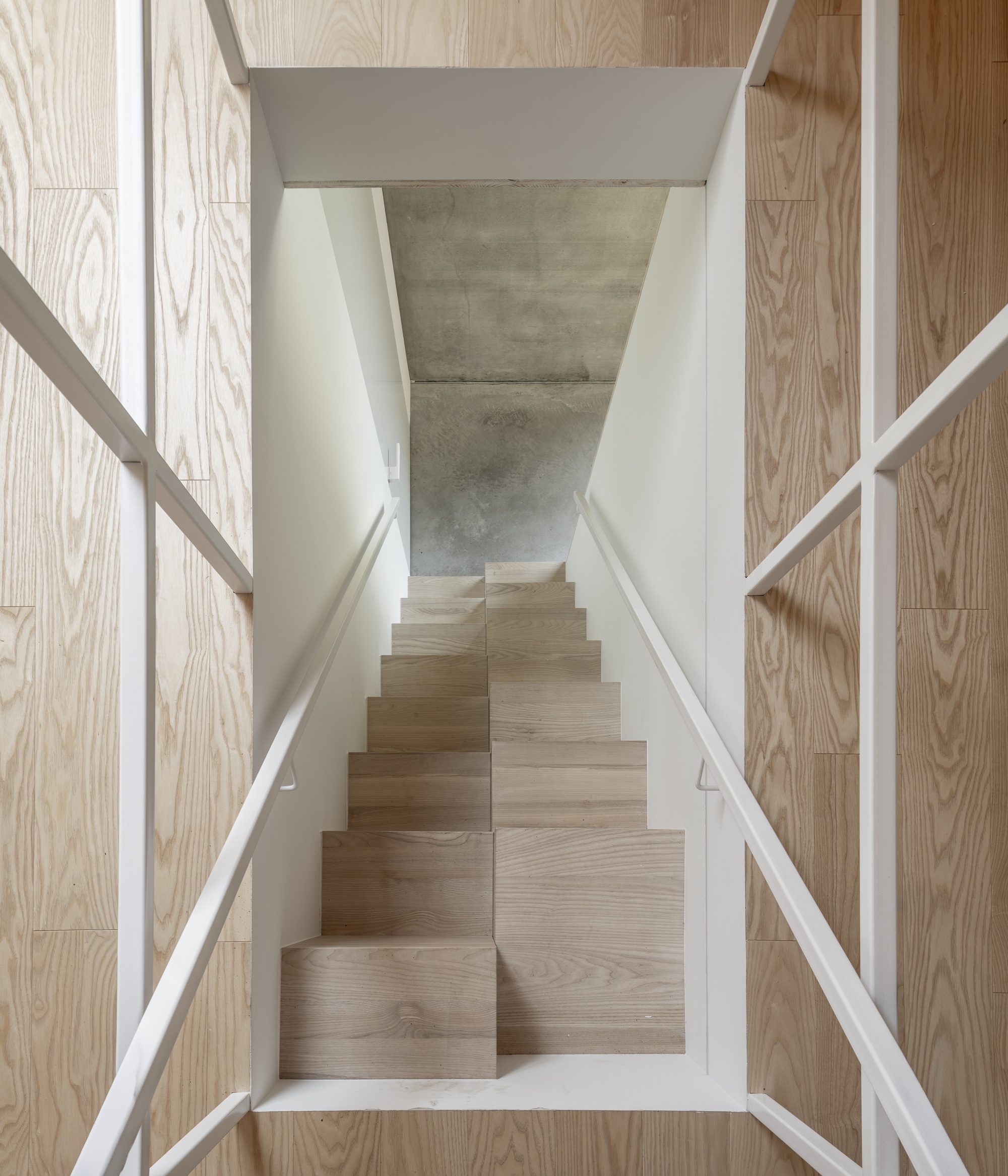 Top-down view of a timber staircase rising between light wood paneled walls and exposed concrete soffit