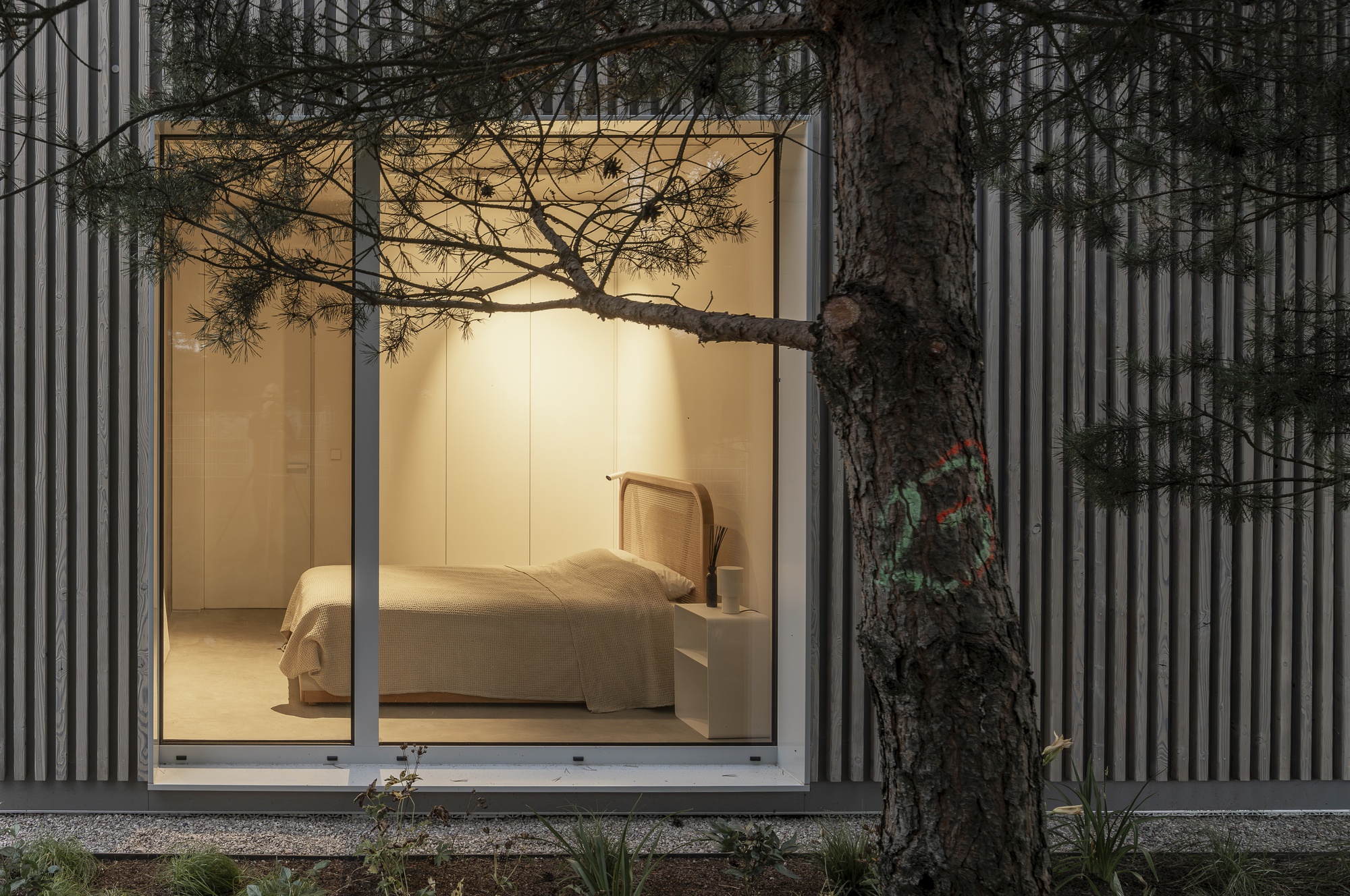 Glazed bedroom opening framed by vertical timber cladding with pine tree branch at dusk