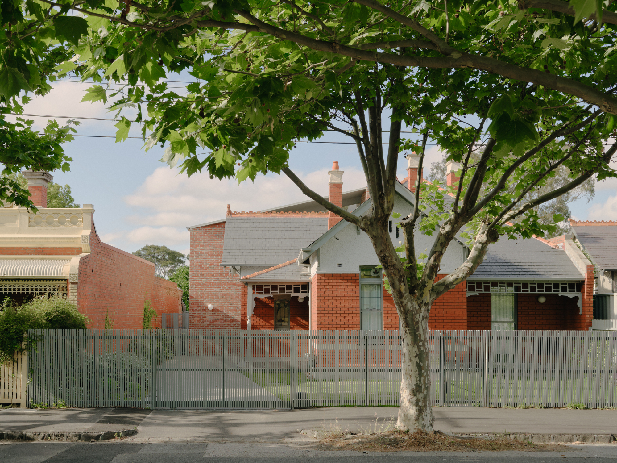 Street view of brick facade with corrugated metal fence and leafy tree in foreground