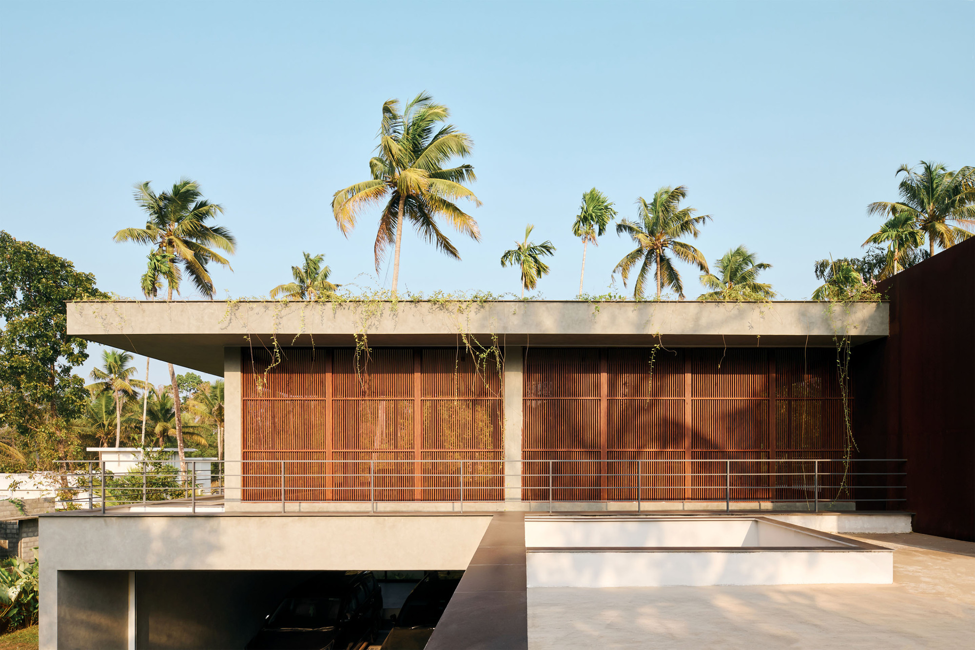 Upper terrace with slatted timber screens suspended over a concrete soffit beneath towering palm trees