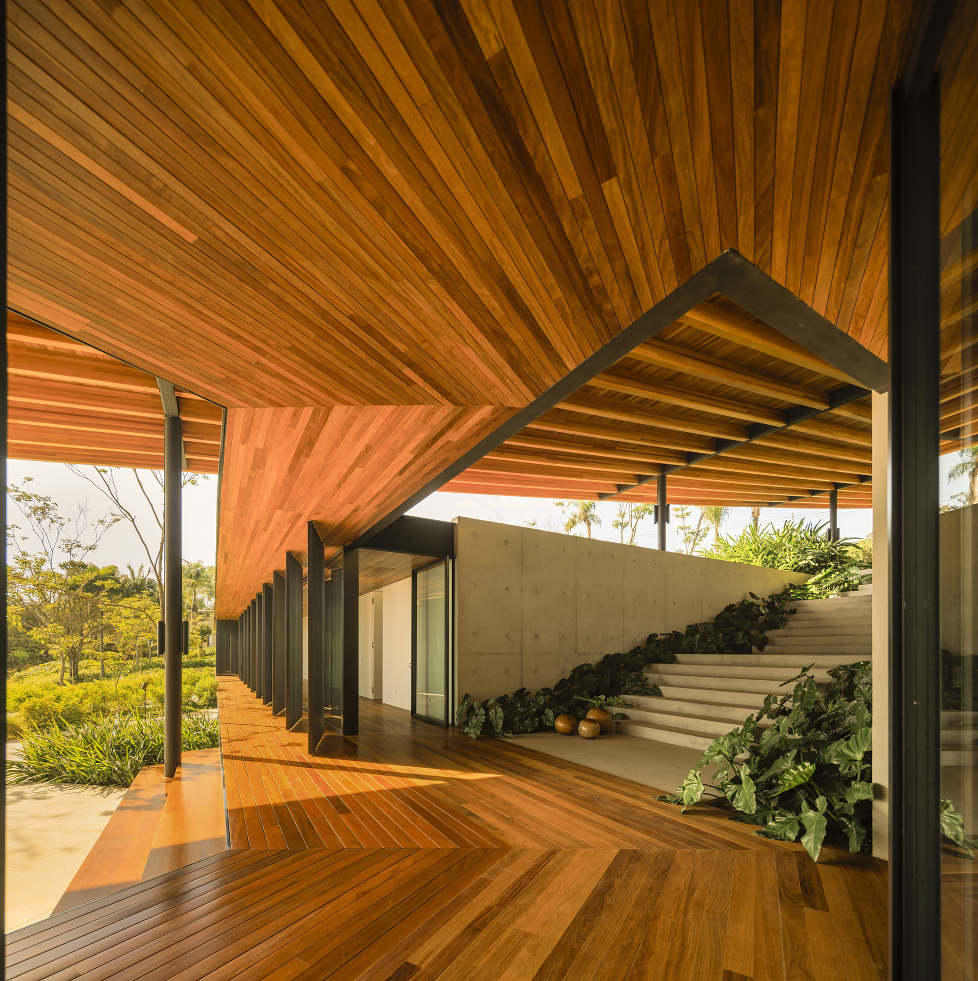 Angled timber ceiling planes converging above the deck with planted stair and concrete retaining wall
