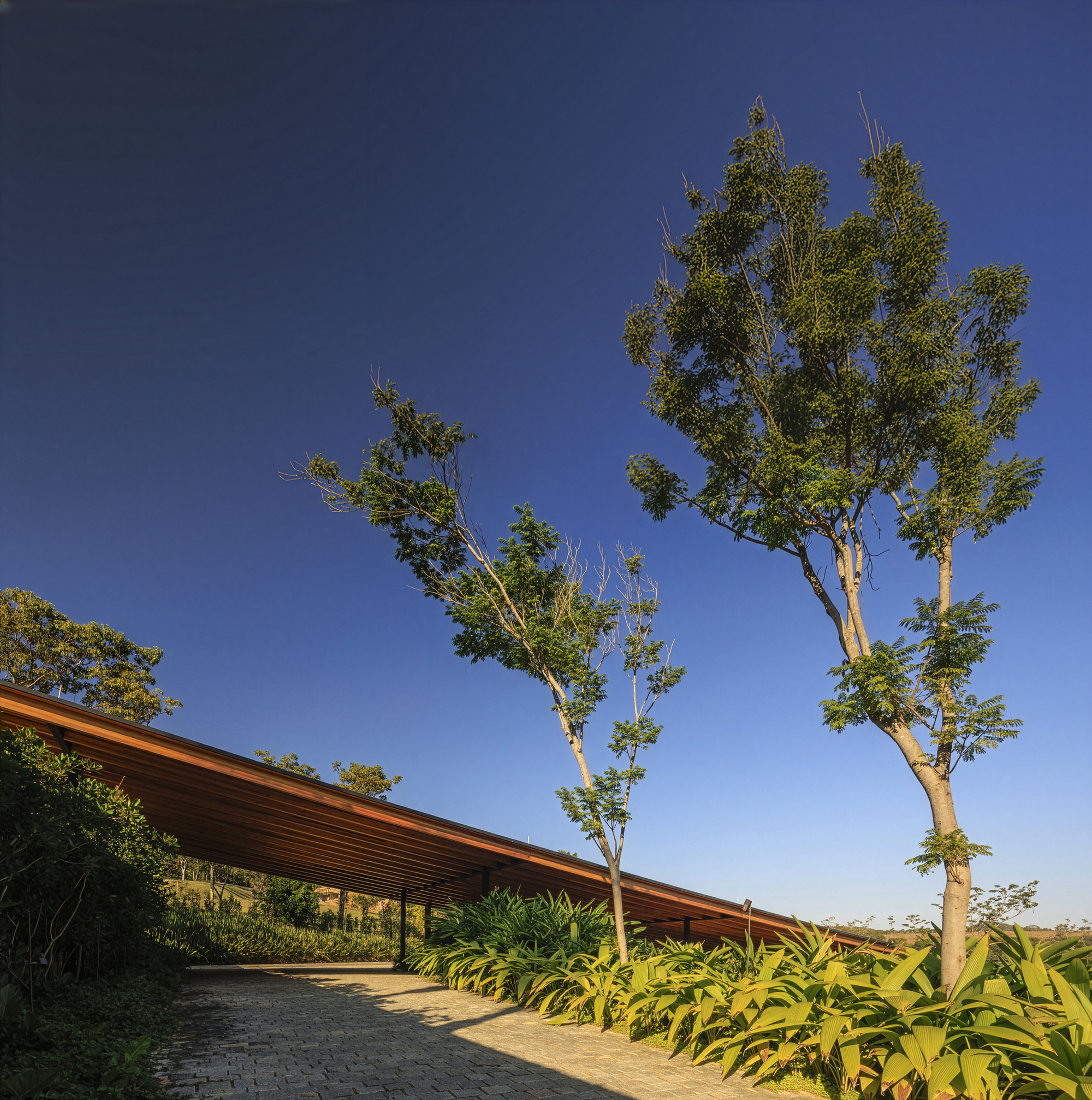 Entrance drive with planted beds flanking a timber slat roof under tall eucalyptus trees and blue sky