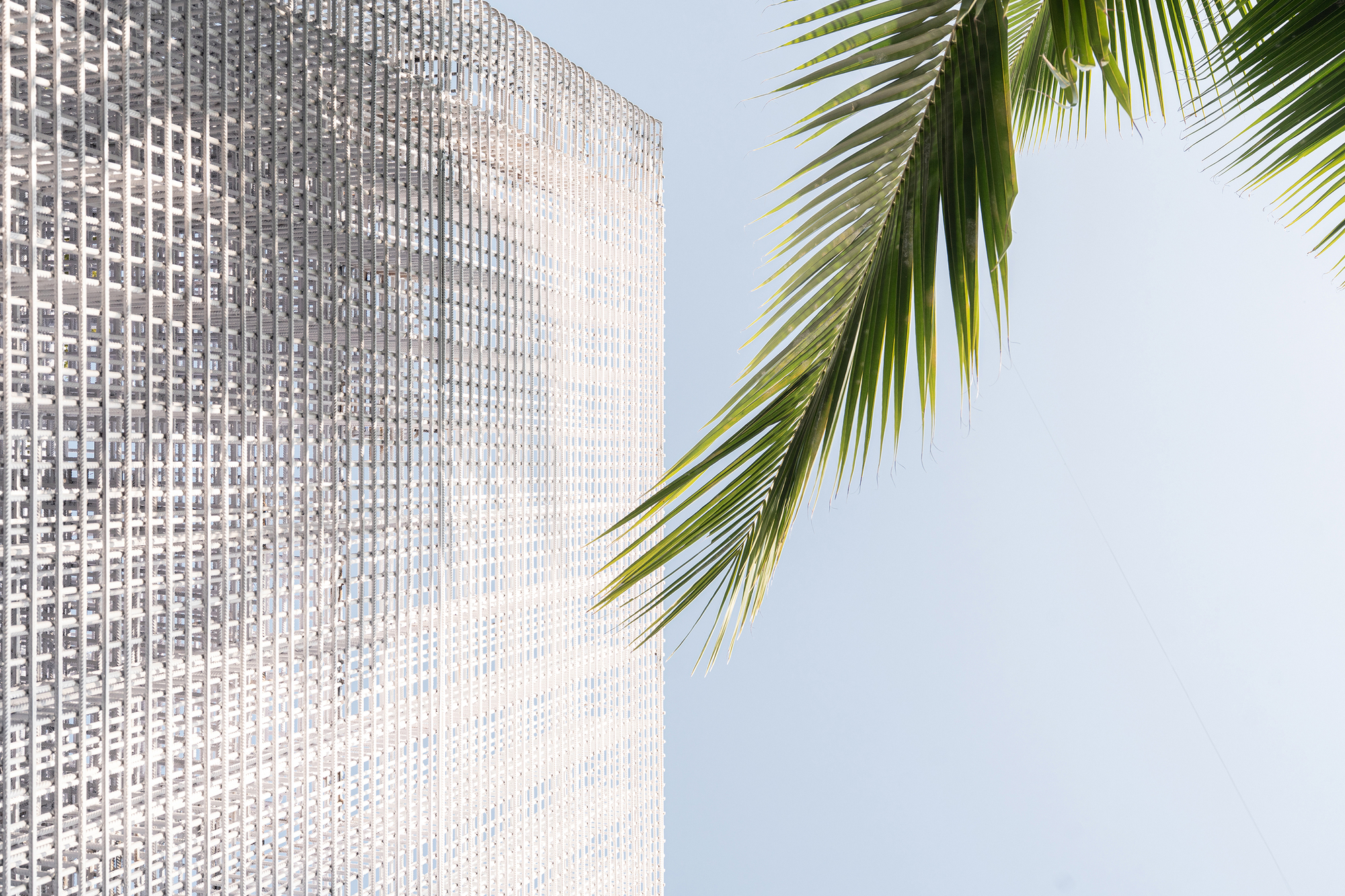 Corner of the perforated screen facade against pale sky with a palm frond in the foreground