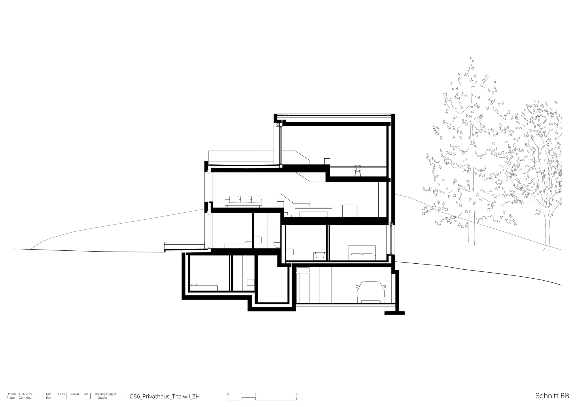 Section drawing revealing the split-level interior volumes stepping down the hillside with trees flanking