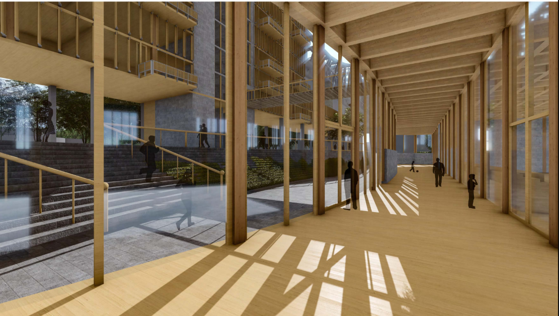 Timber colonnade activating a light-filled public circulation spine