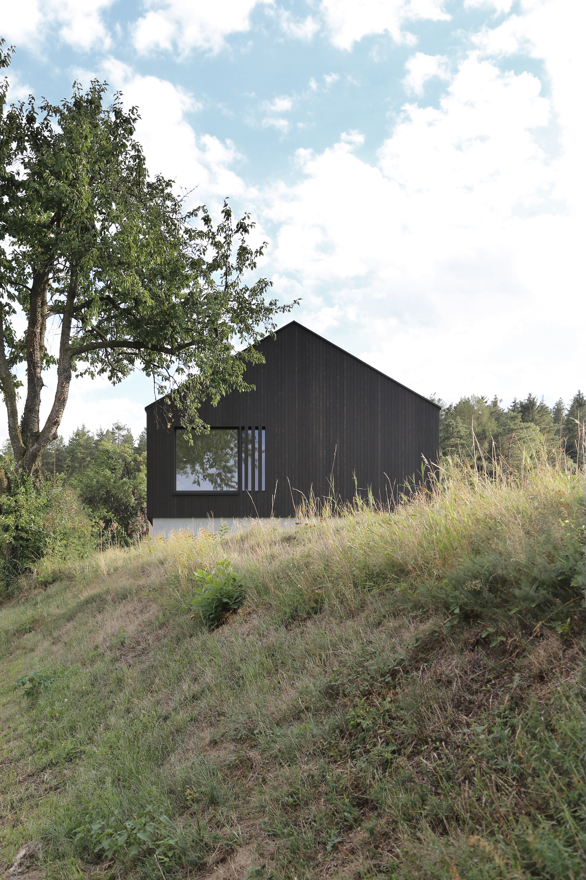 Black vertical timber cladding with vertical louvered window on a sloped hillside