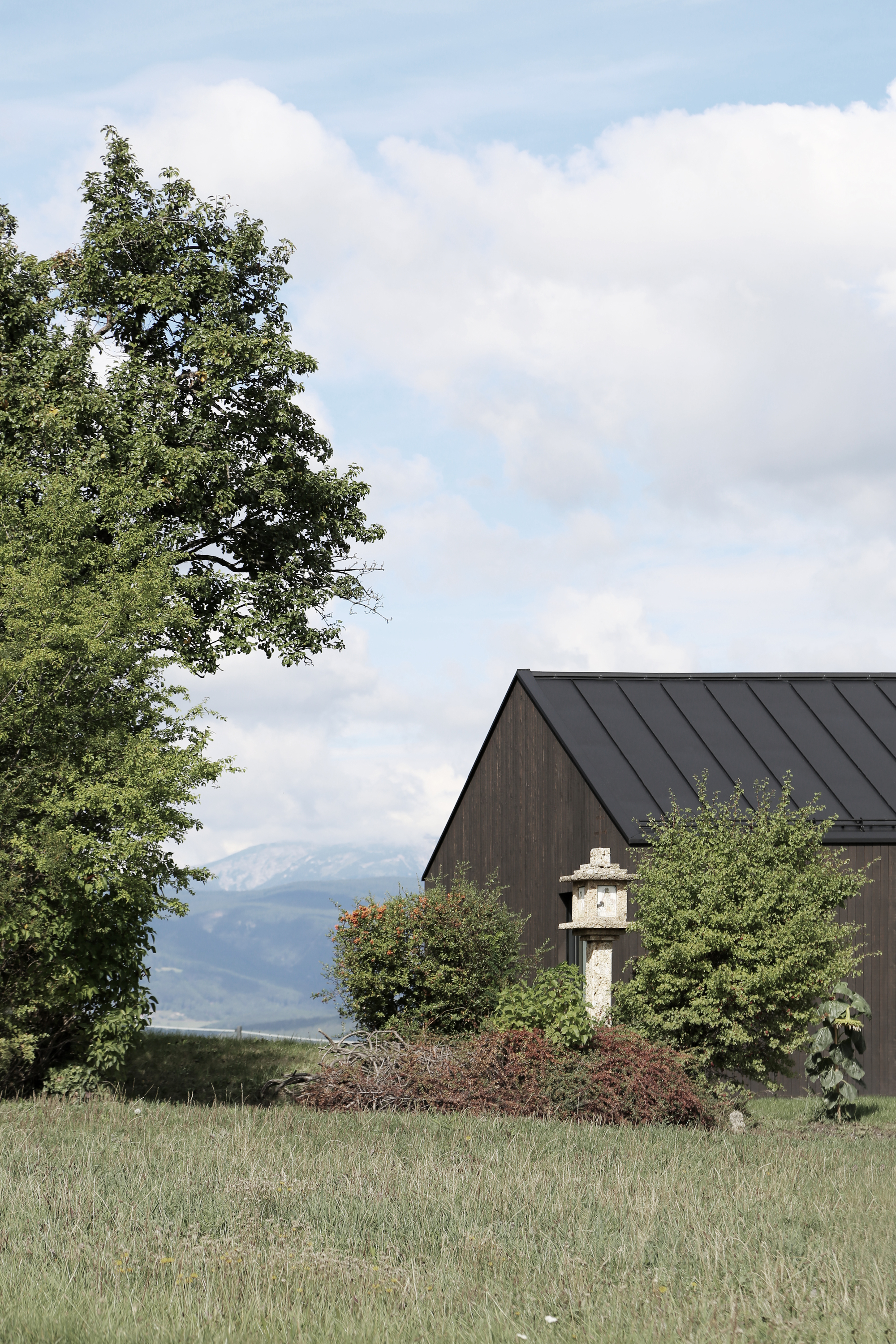 Gabled roof rising above garden shrubs and grasses with distant mountains visible