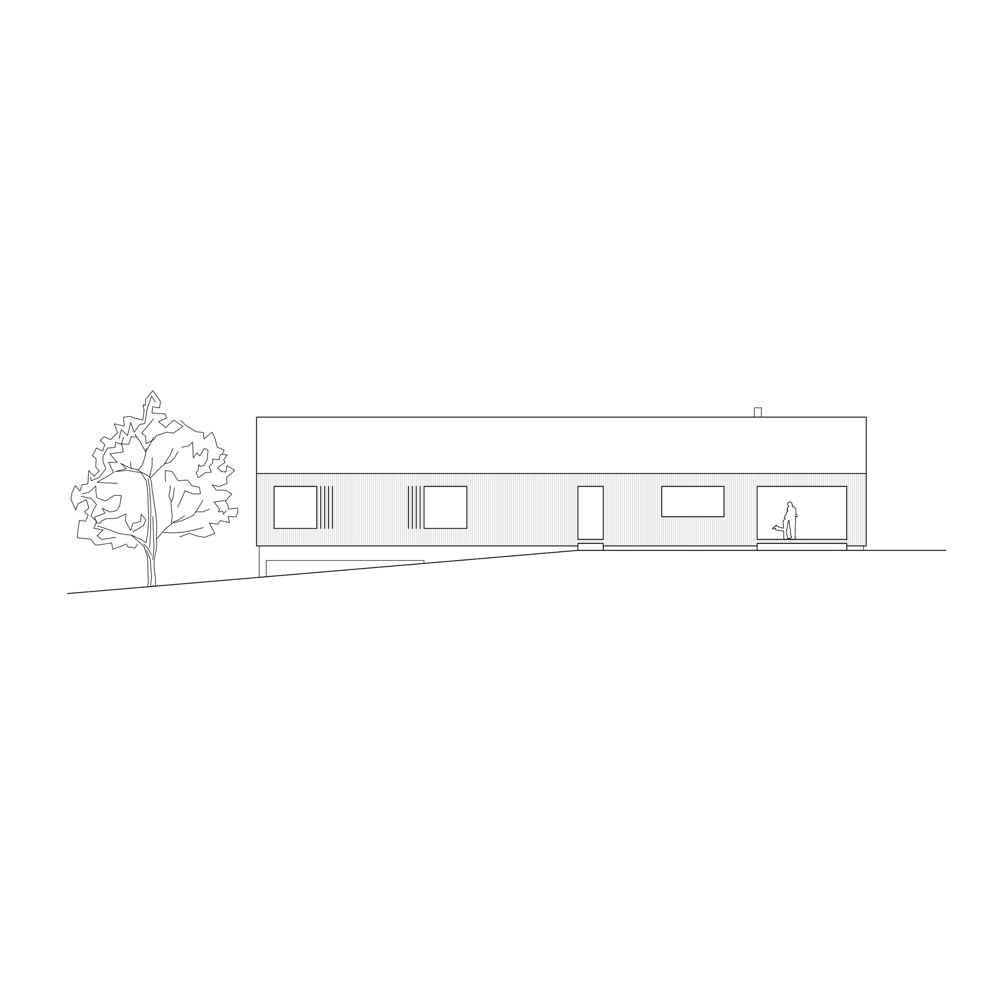 Elevation drawing of a horizontal dwelling with shuttered windows, central door and tree at one end