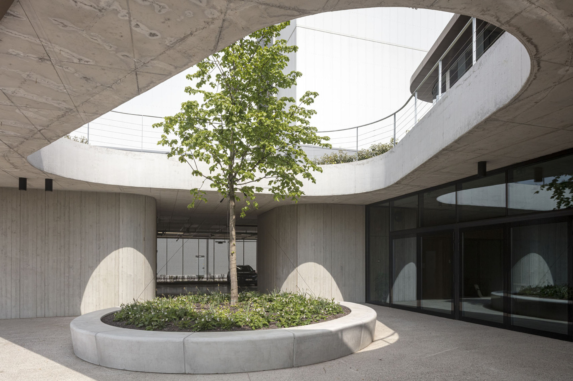 Circular courtyard planter with a tree at its center, viewed from beneath a curved concrete overhang