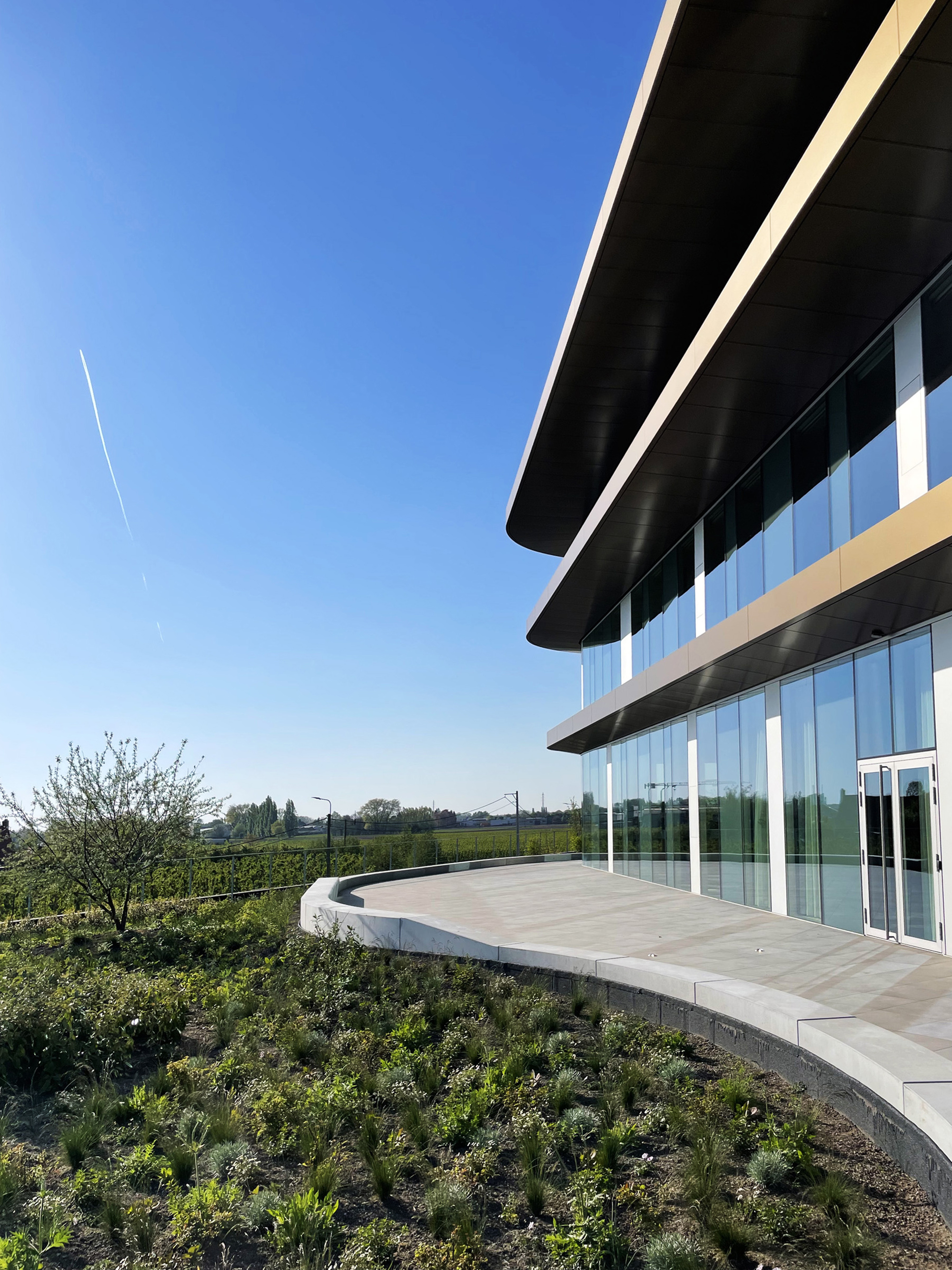 Curved terrace deck with native planting beds extending toward open fields under a clear blue sky