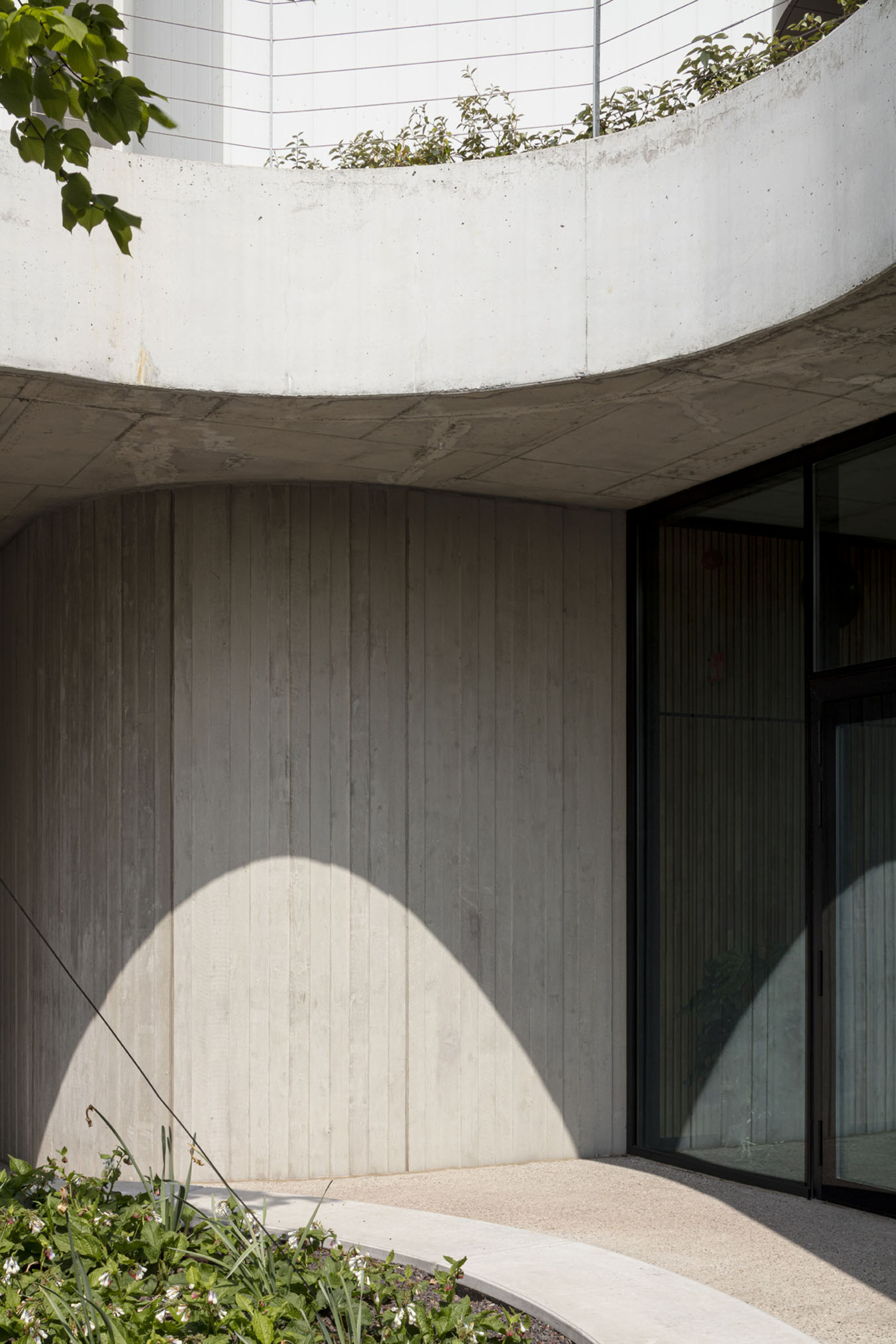 Curved concrete soffit casting shadow over vertical timber wall beside planted bed
