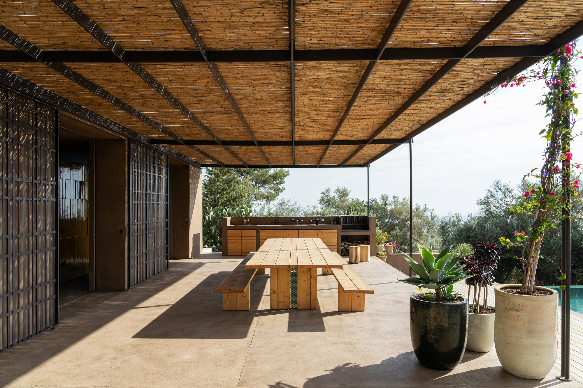 Covered terrace with woven cane ceiling and timber dining table looking toward olive grove beyond