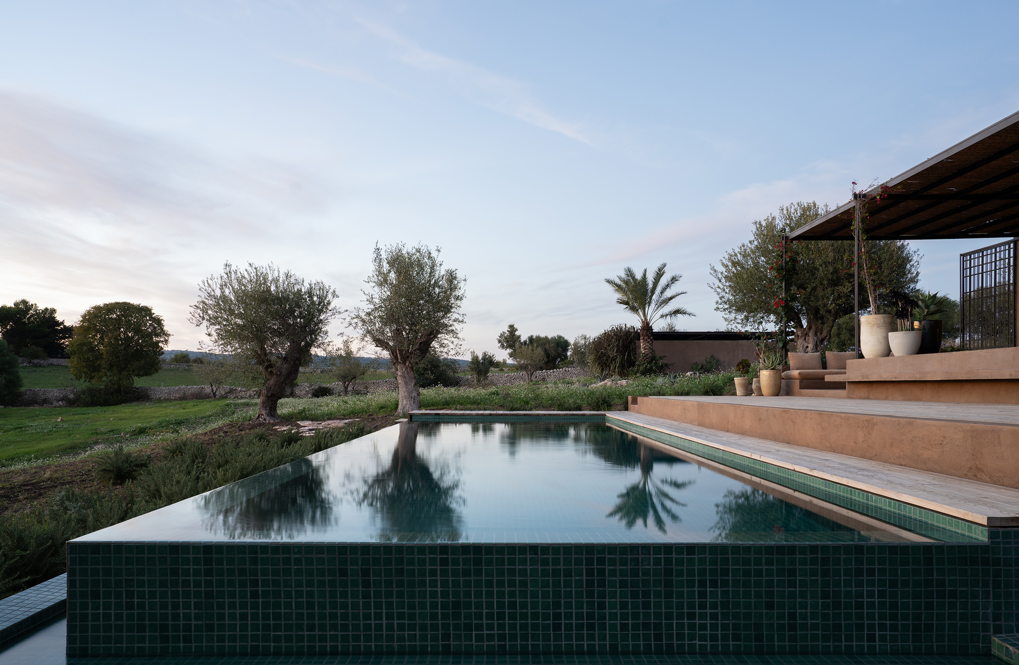 Dark green tiled infinity pool reflecting olive trees and palms at dusk