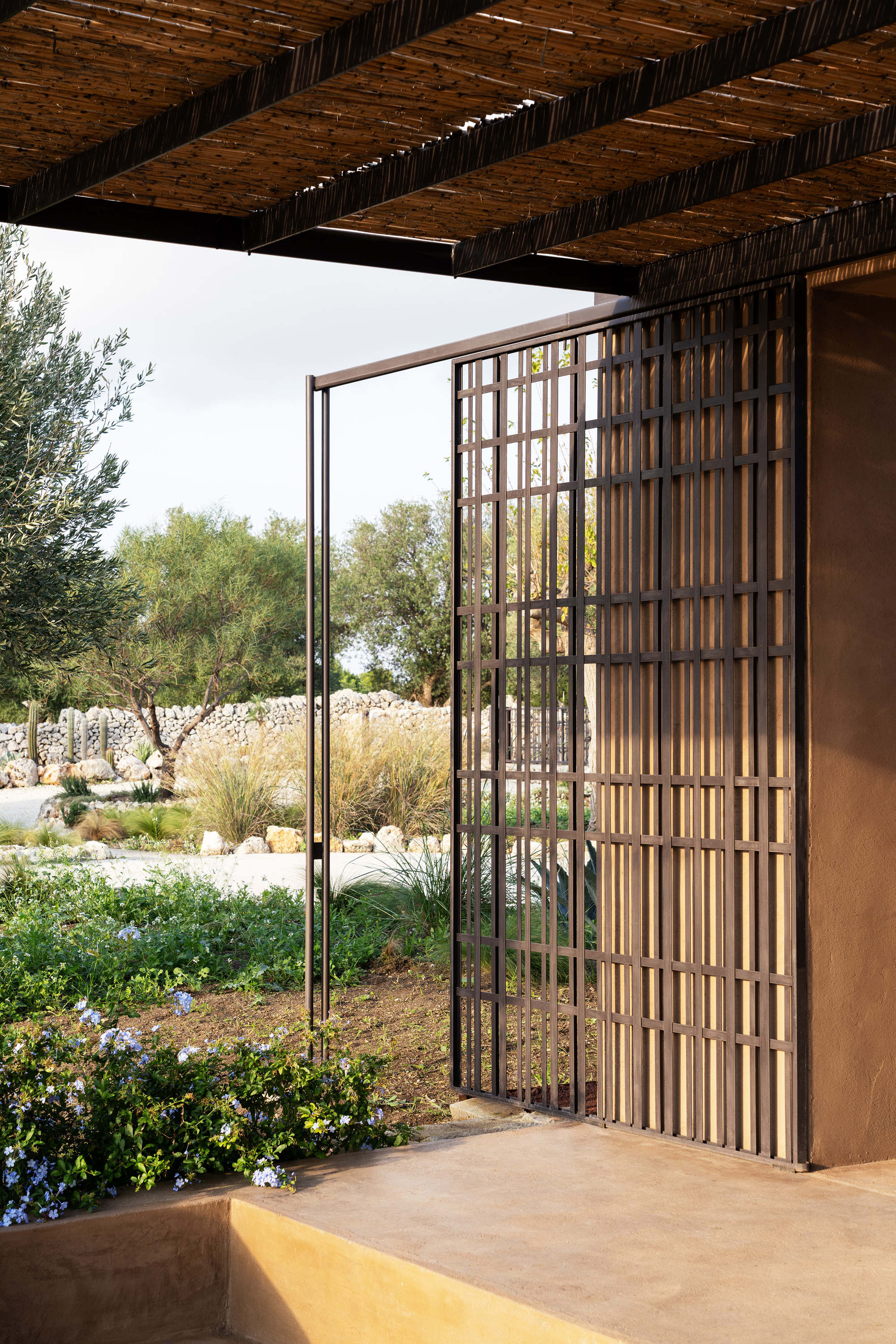 Open lattice screen door framing a garden courtyard with olive trees and planted beds under reed canopy