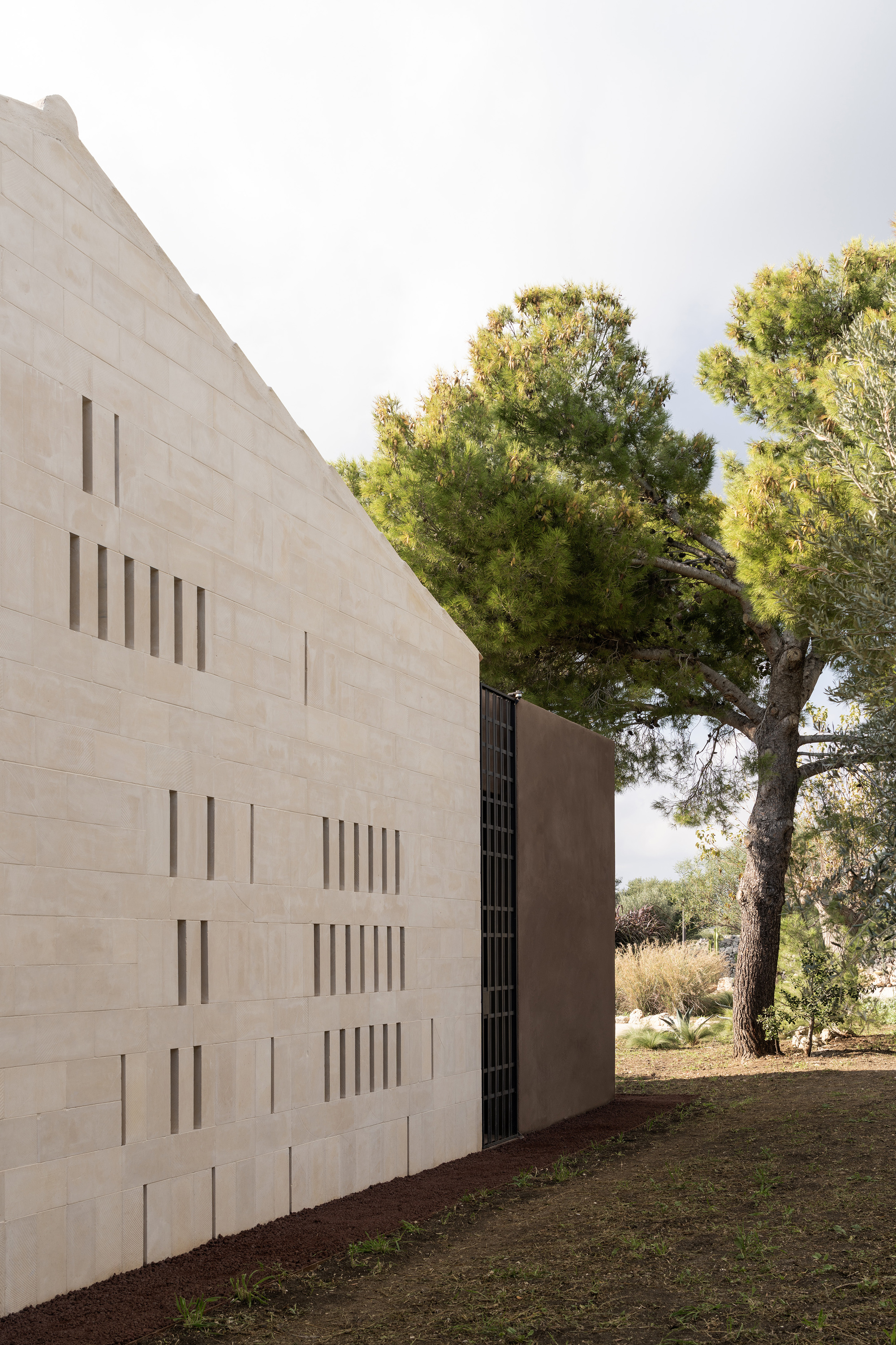 Angled concrete block wall with vertical slot windows beside a mature pine tree