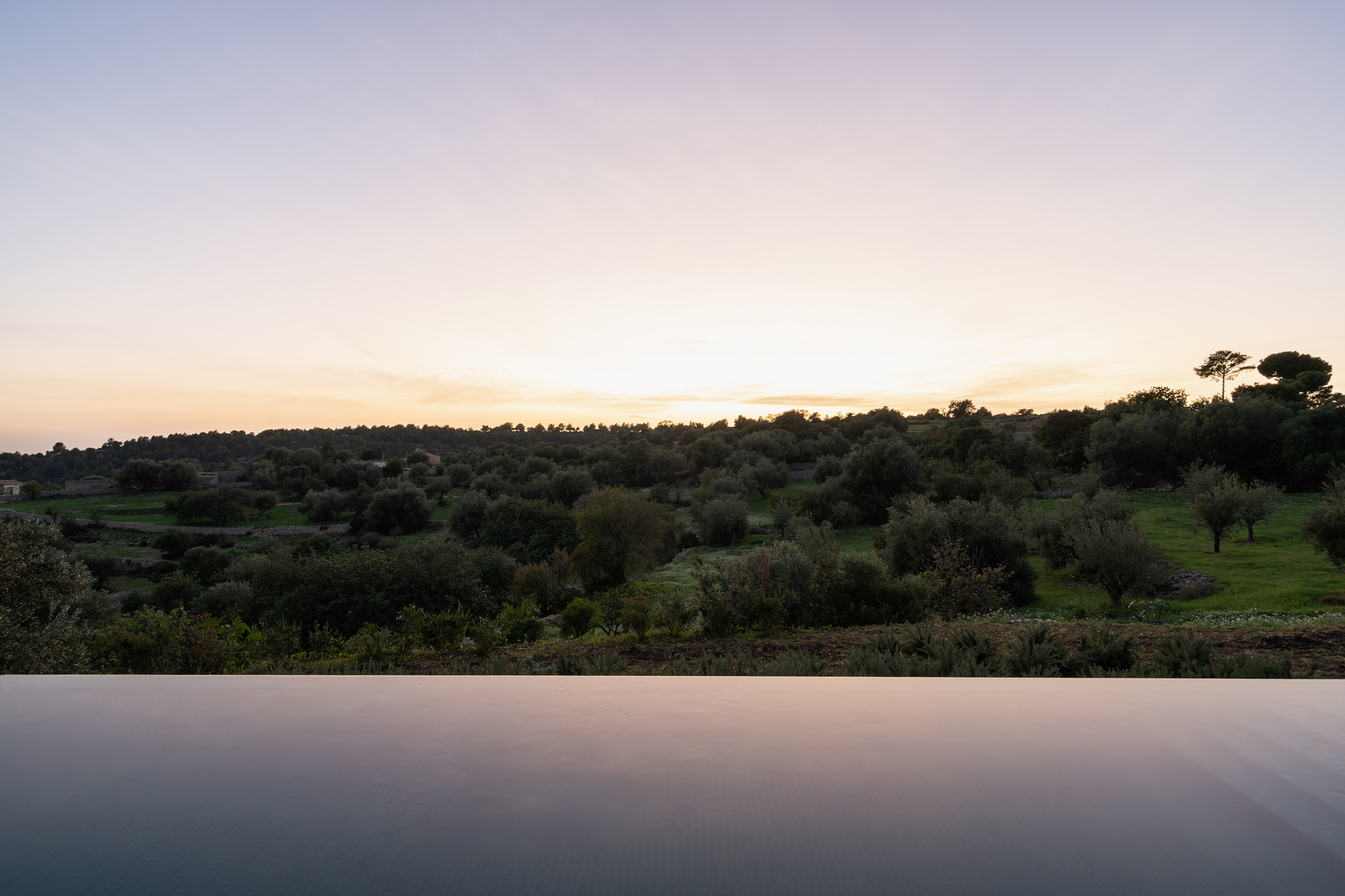 Infinity pool edge reflecting the golden light of sunset over an olive orchard