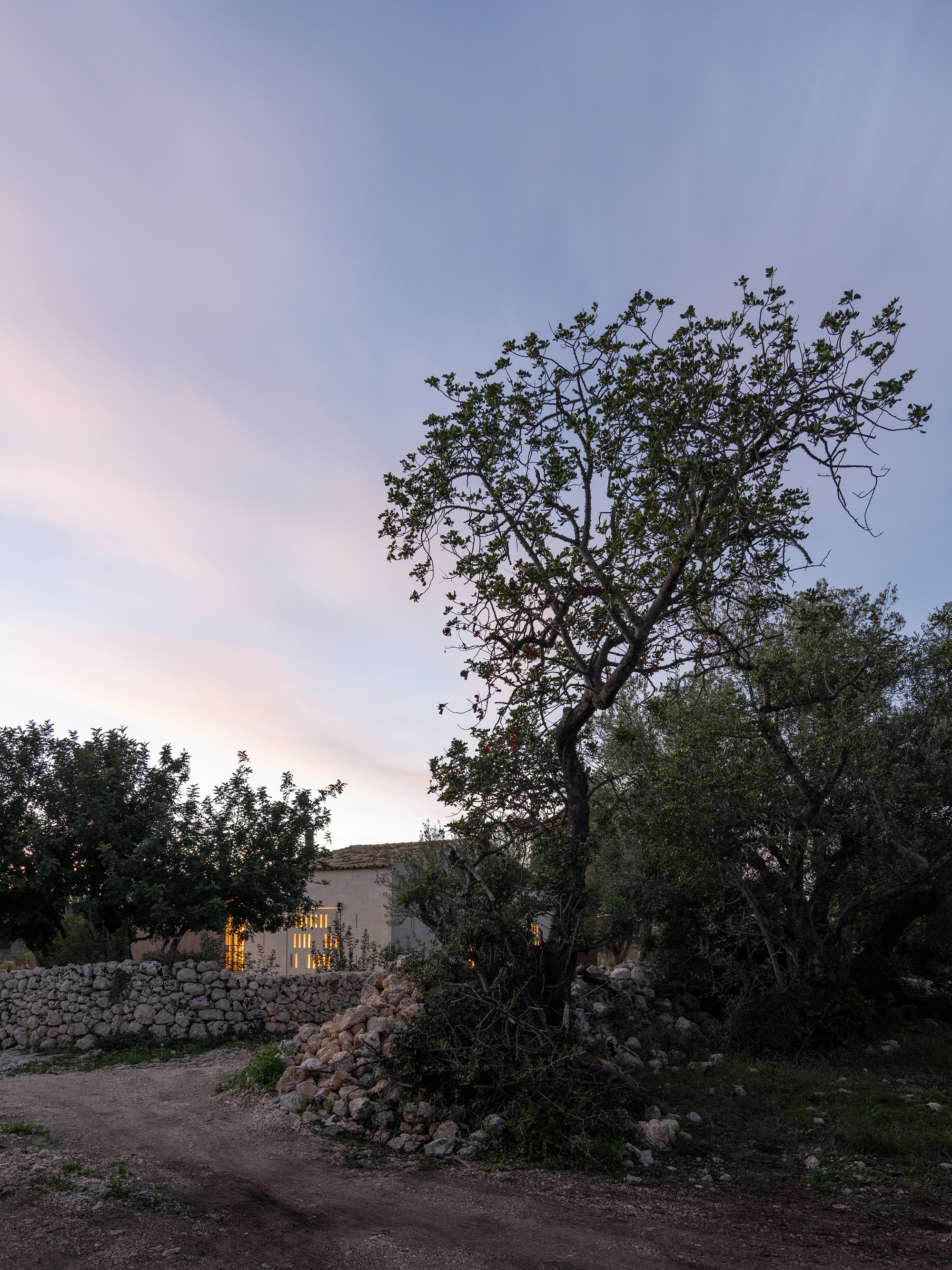 Stone perimeter wall and illuminated windows visible through gnarled olive trees at twilight