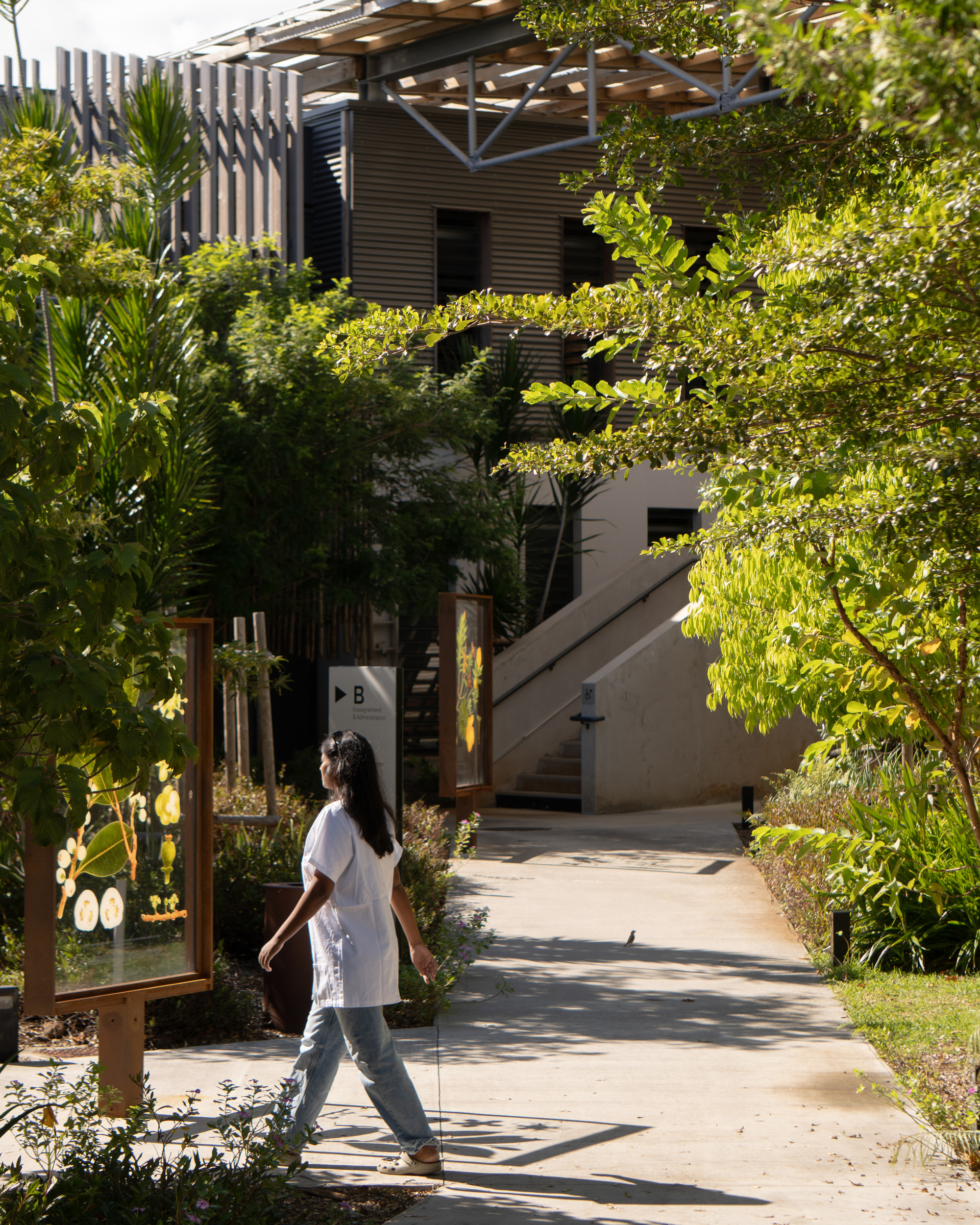 Walkway through planted landscape with person passing between foliage and timber stair structure ahead