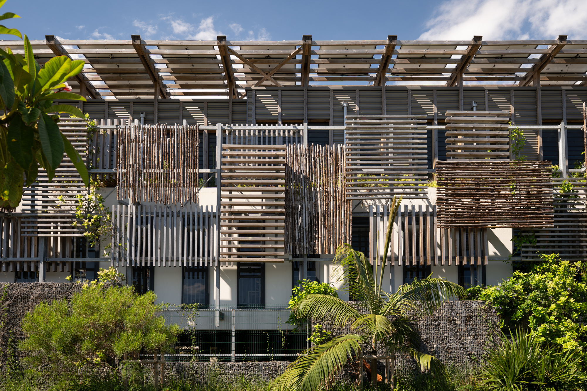 Facade with layered horizontal timber screens and rooftop pergola framed by palms under a blue sky