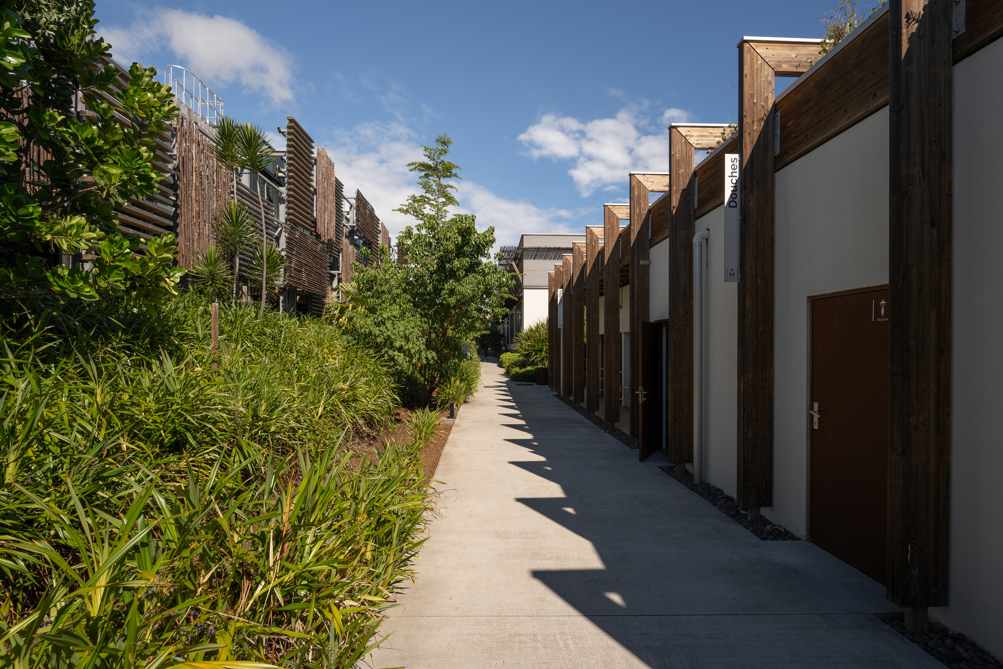 Residential lane with saw-tooth rooflines and planted verges casting sharp shadows in midday sun