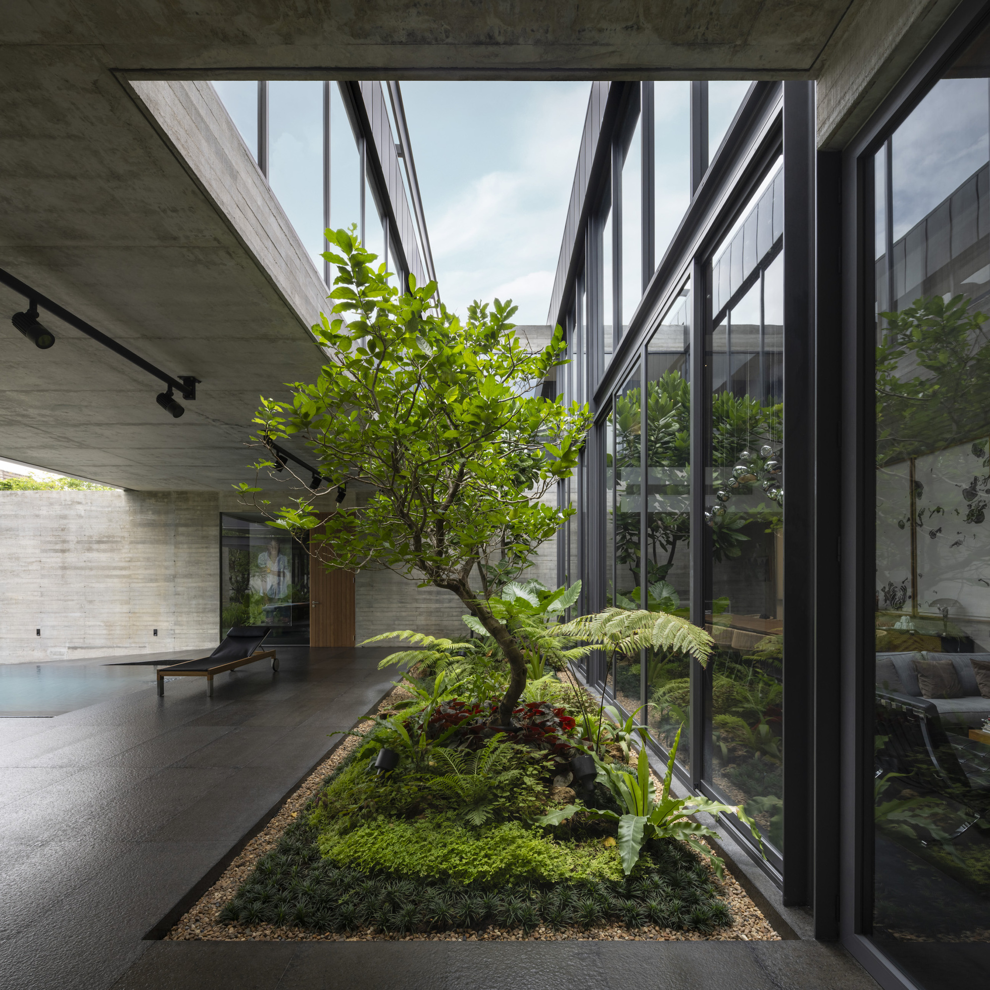 Interior atrium garden with small tree and ferns framed by floor-to-ceiling glazing