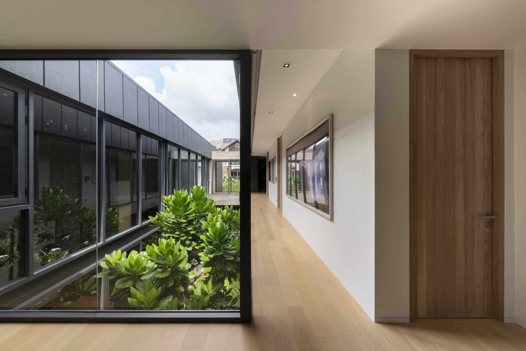 Corridor with timber flooring and glazed wall overlooking a planted courtyard with succulents