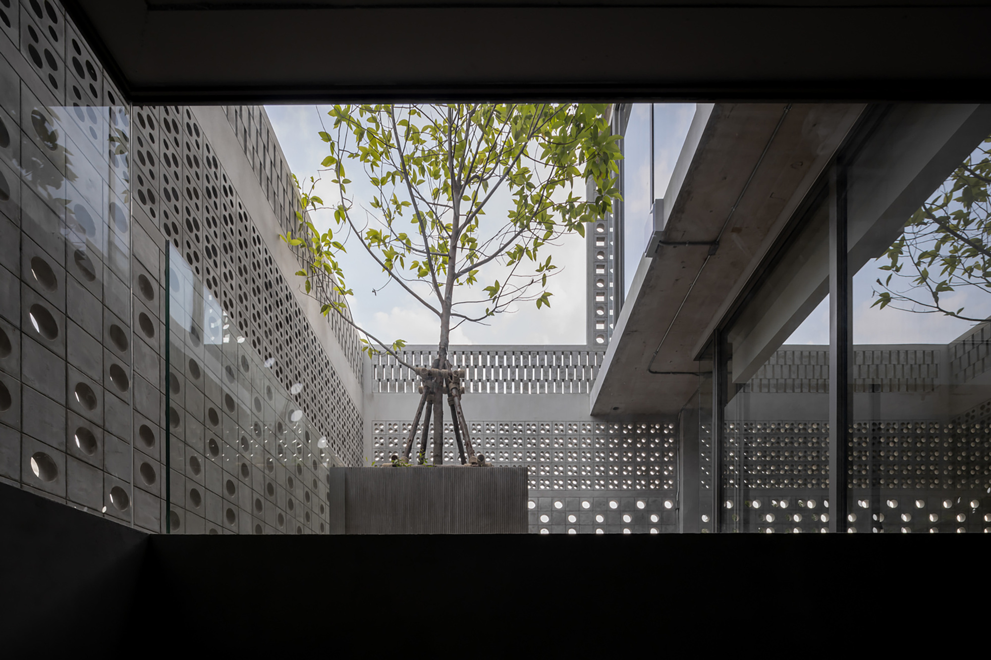 Rooftop courtyard with a single tree in a planter surrounded by perforated concrete block walls under open sky