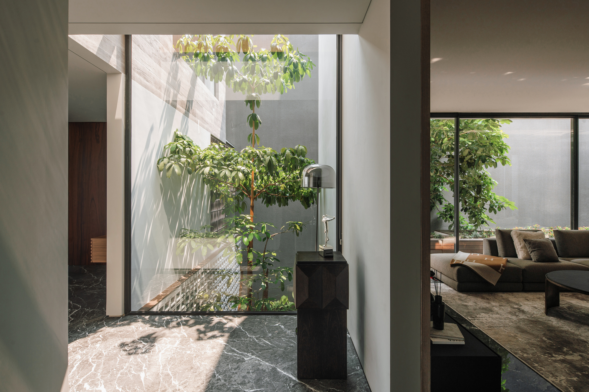 Interior courtyard with a single tree and dark marble flooring illuminated by filtered daylight