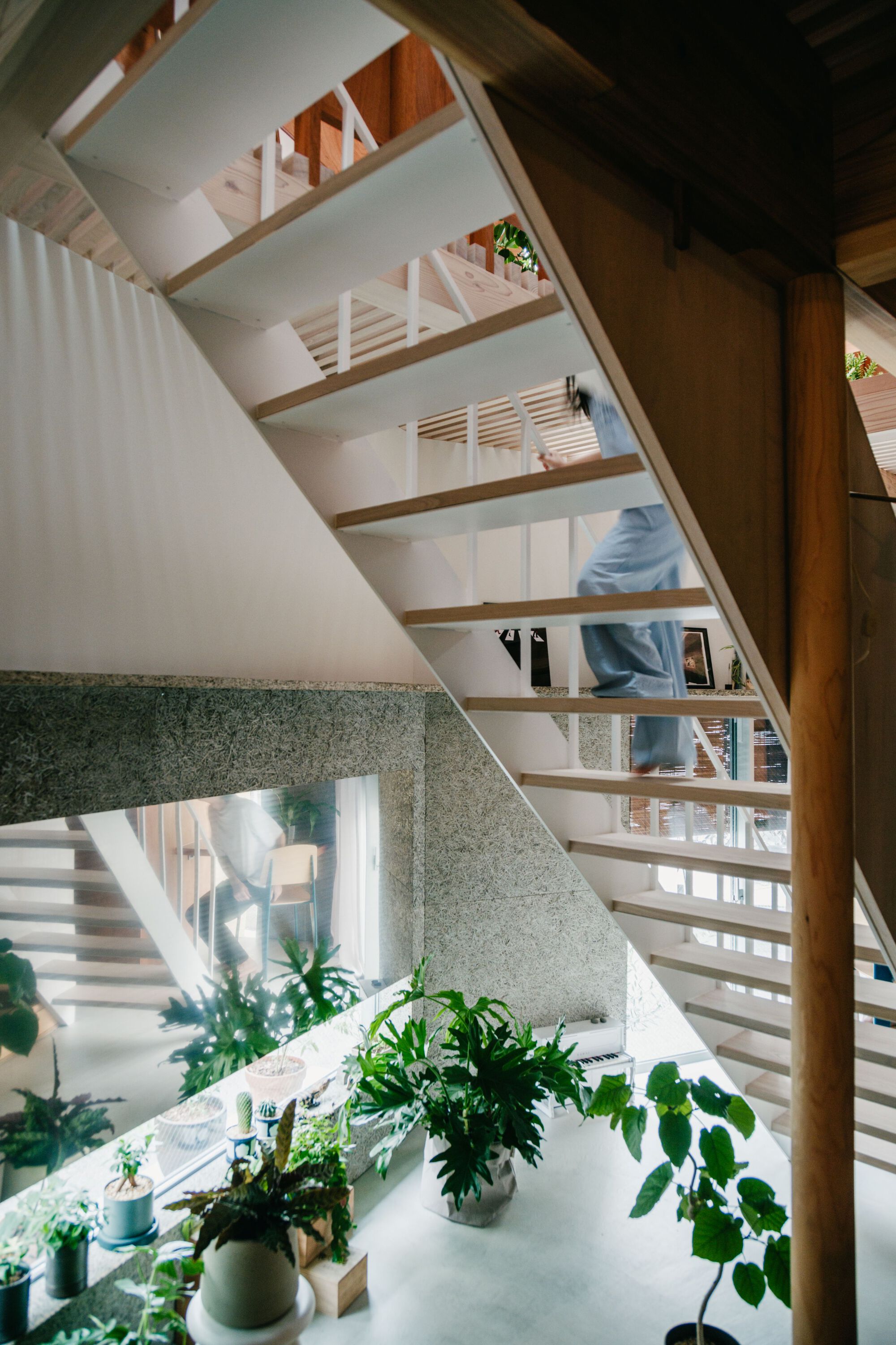Open timber staircase with terrazzo wall and potted plants on the landing below skylights