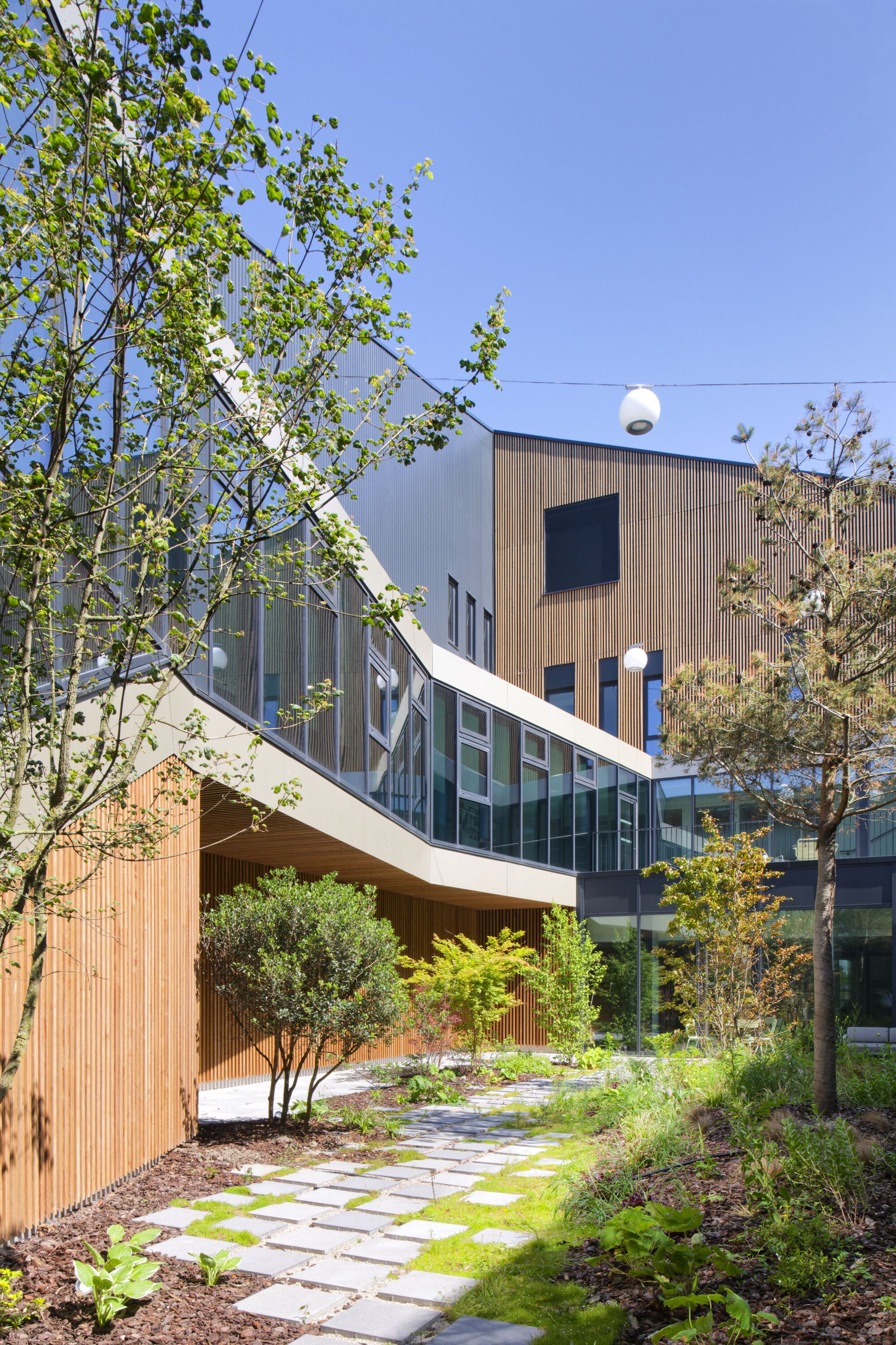 Courtyard garden path with pavers and moss leading past timber-clad walls and young birch trees