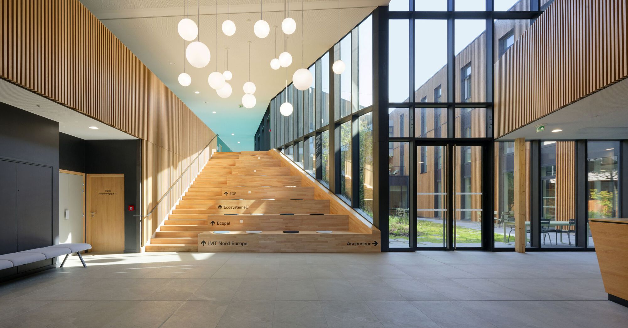 Entrance lobby with wide timber stair, sphere pendant lights and floor-to-ceiling glazed wall